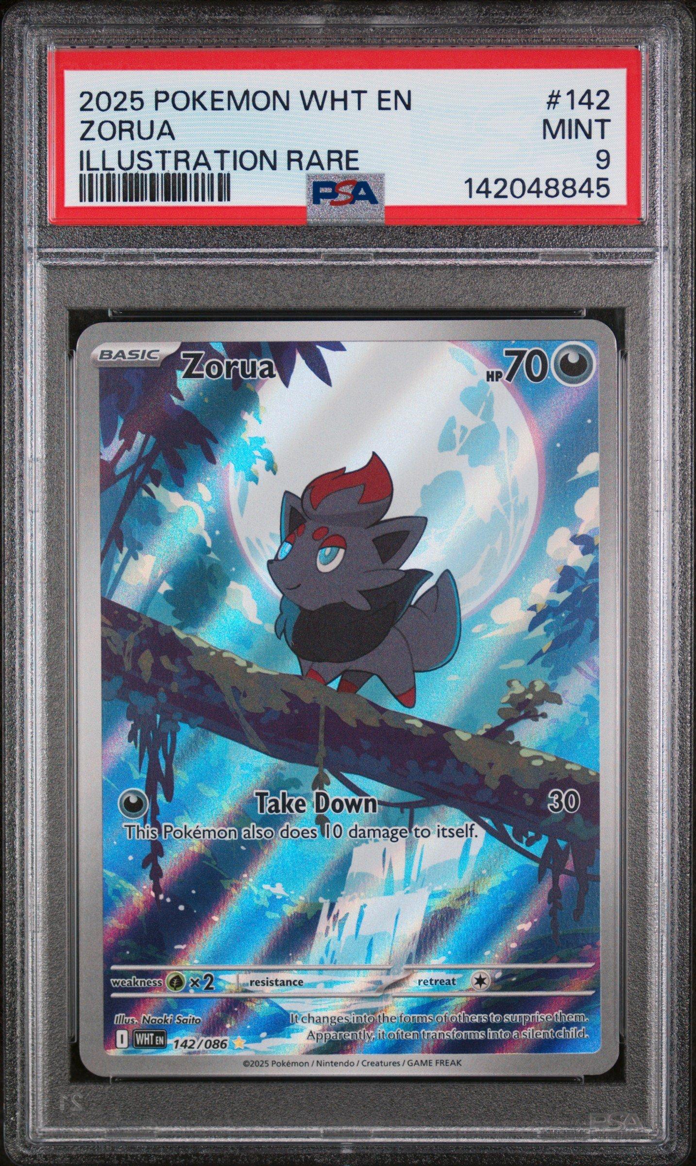 pokemon card shiny border Electric Kanto Pokemon Printed Border Oversleeves – Usagi Draws