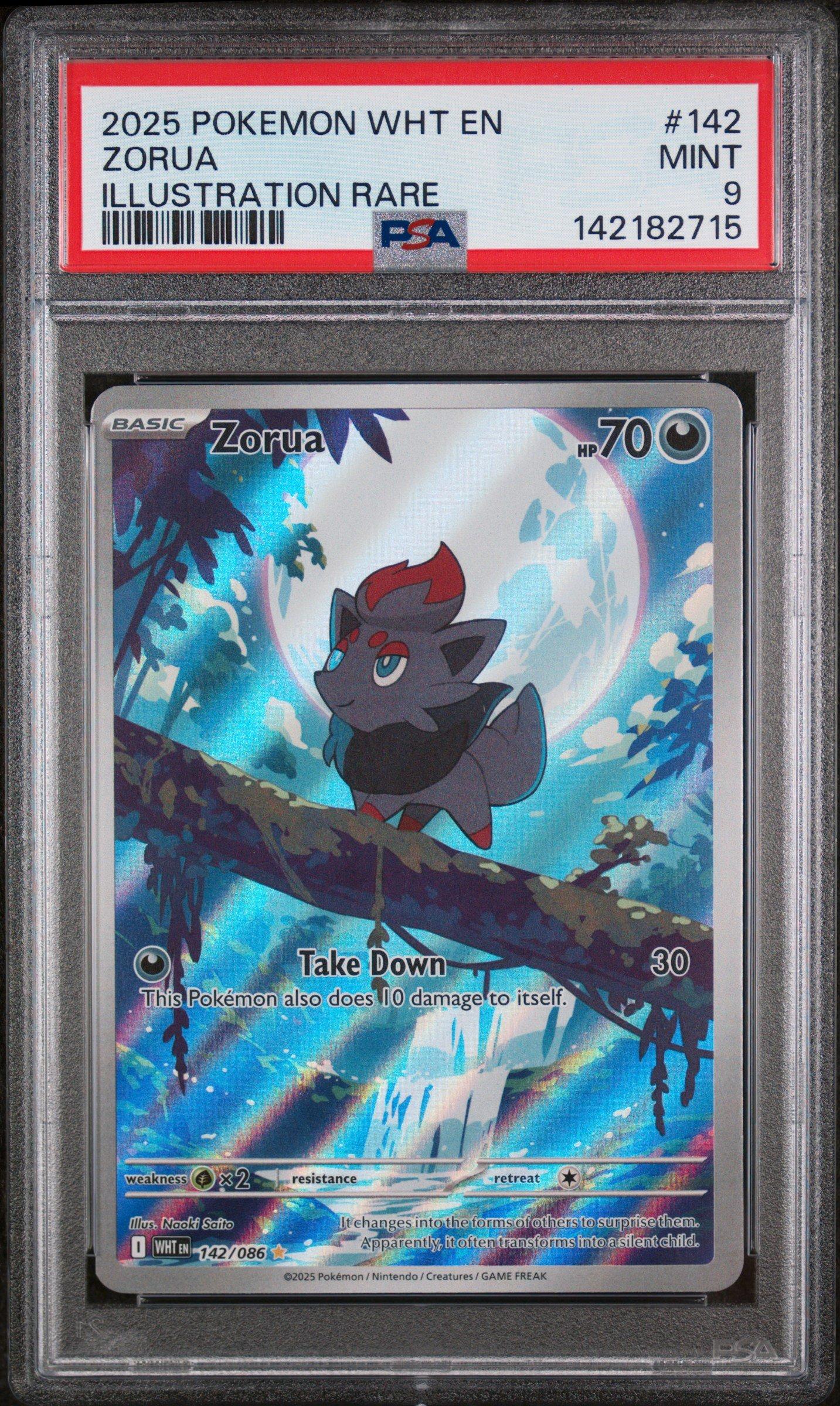 2025 Pokemon Wht En-white Flare 142 Zorua Illustration Rare PSA 9