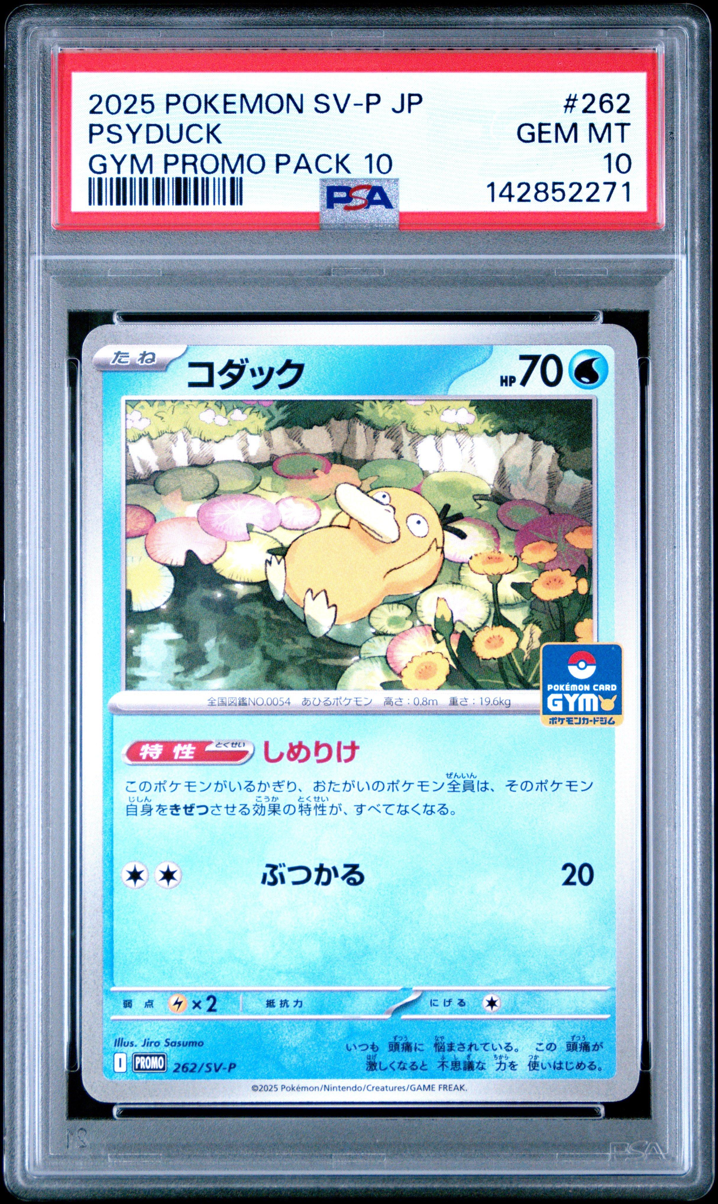 2025 Pokemon Japanese Sv-p Promo 262 Psyduck Gym Promo Pack 10 PSA