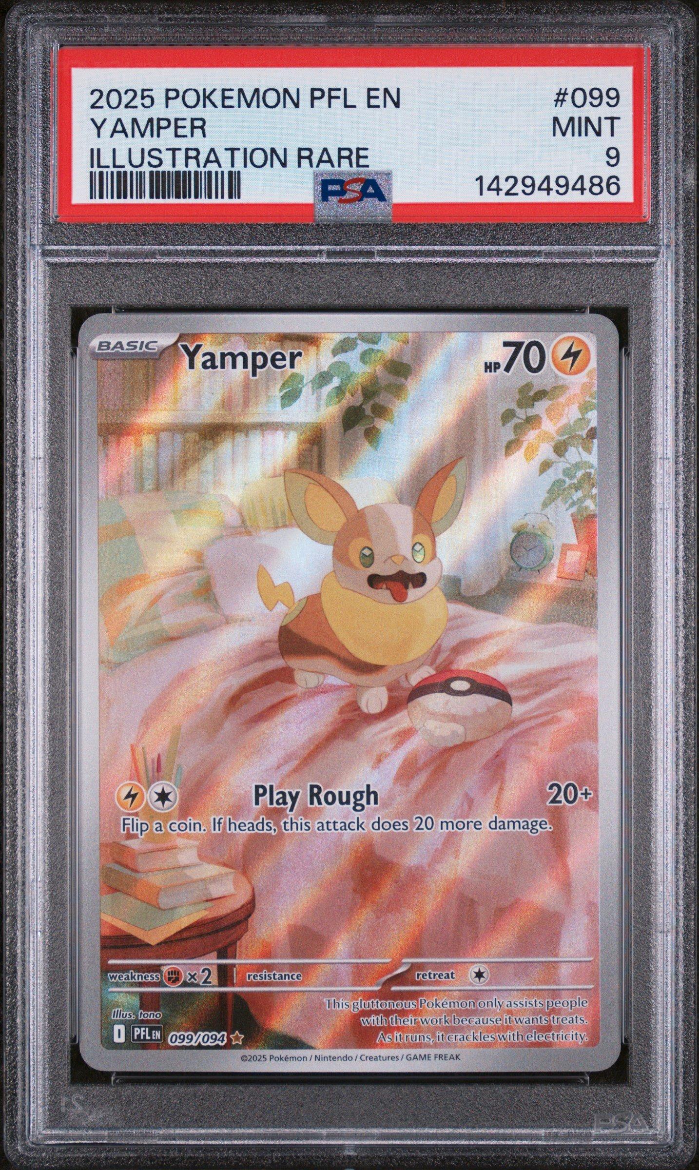 2025 Pokemon Pfl En-phantasmal Flames 099 Yamper Illustration Rare