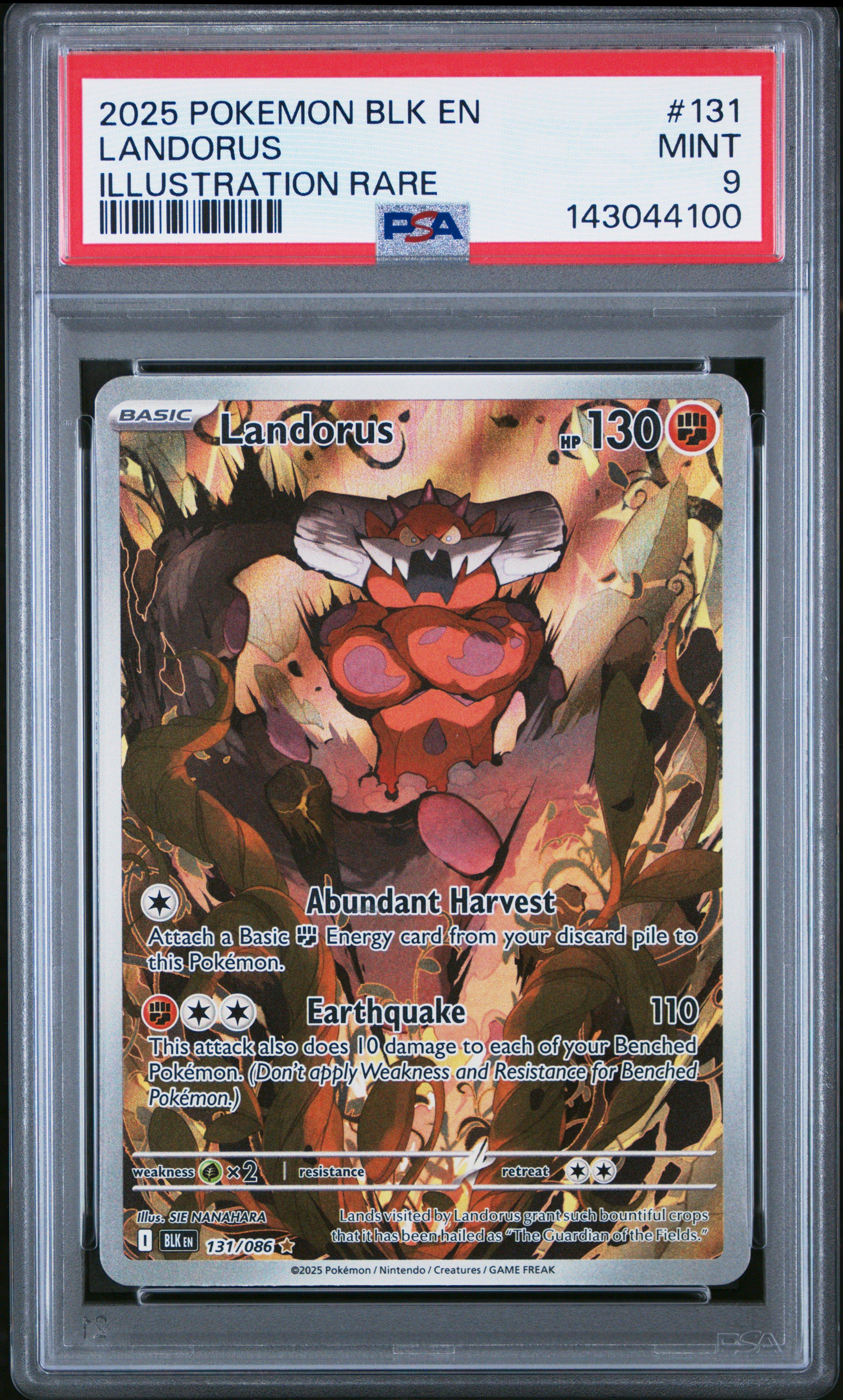 pokemon card landorus Landorus 74/101 (H)