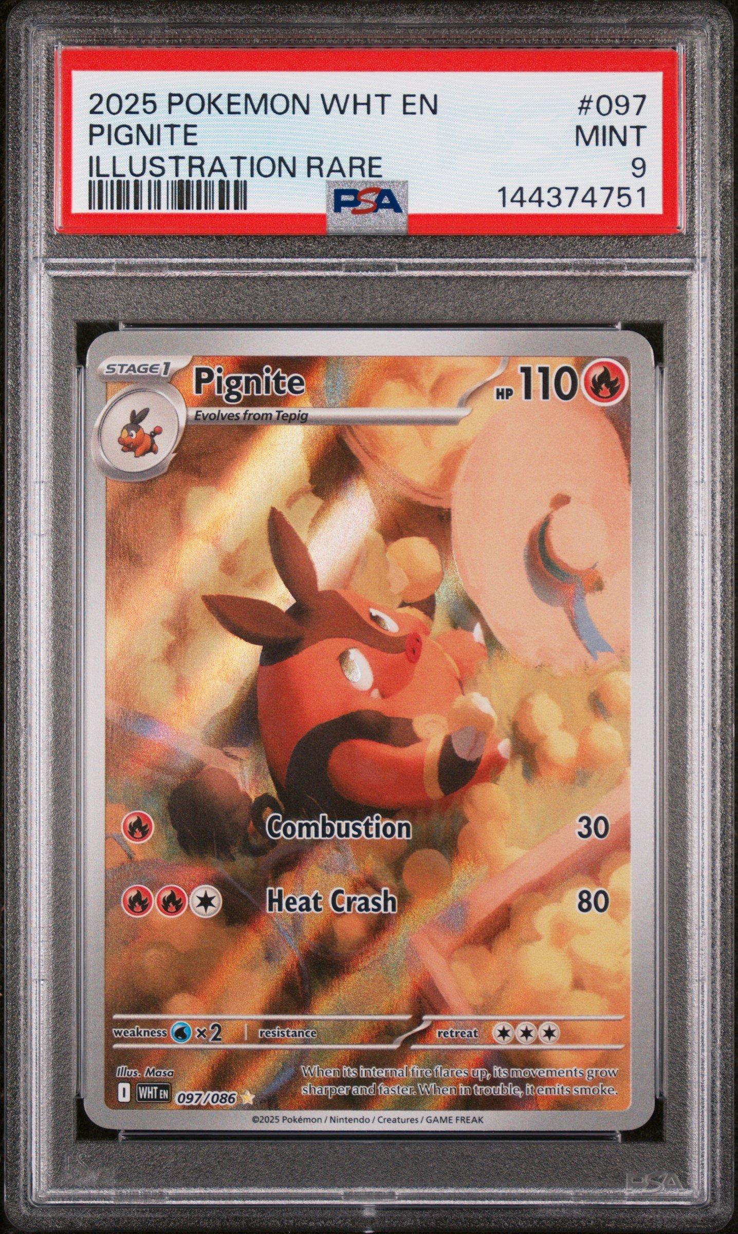 pokemon pignite card Pokémon Card Game [JP] Pignite/Pignite/Pignite
