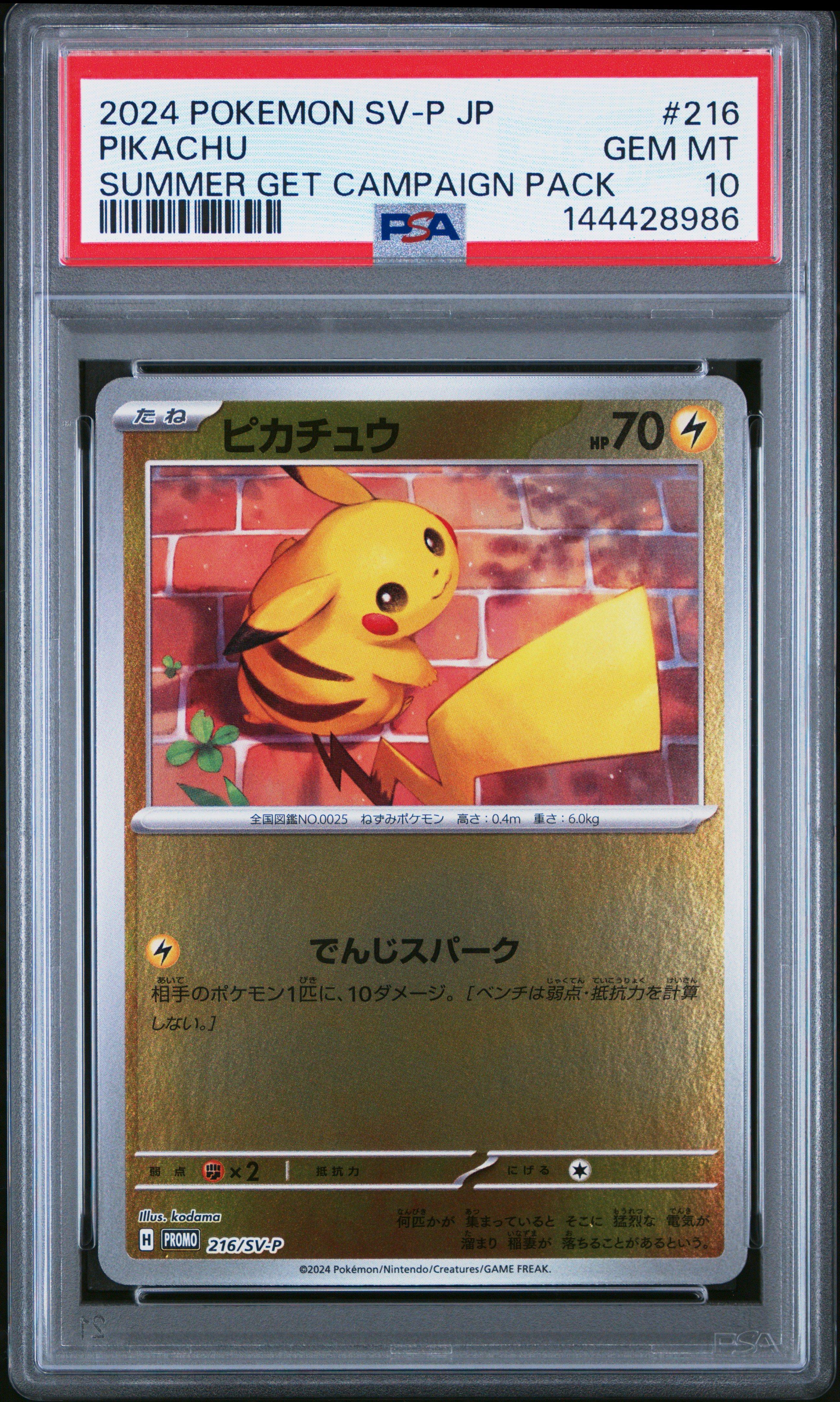 2024 Pokemon Japanese Sv-p Promo 216 Pikachu Summer Of Pokeca Is