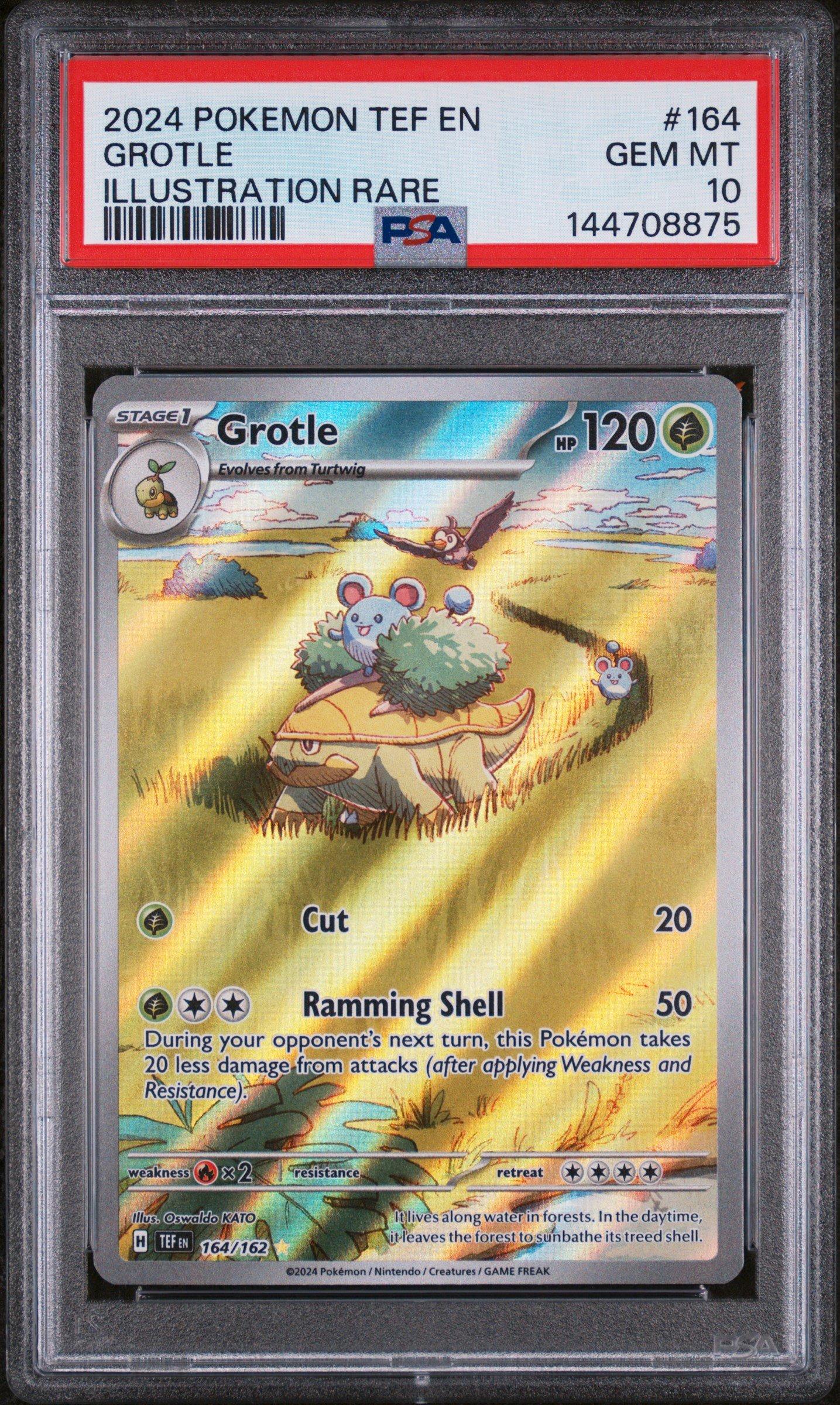 2024 Pokemon Tef En-temporal Forces 164 Grotle Illustration Rare