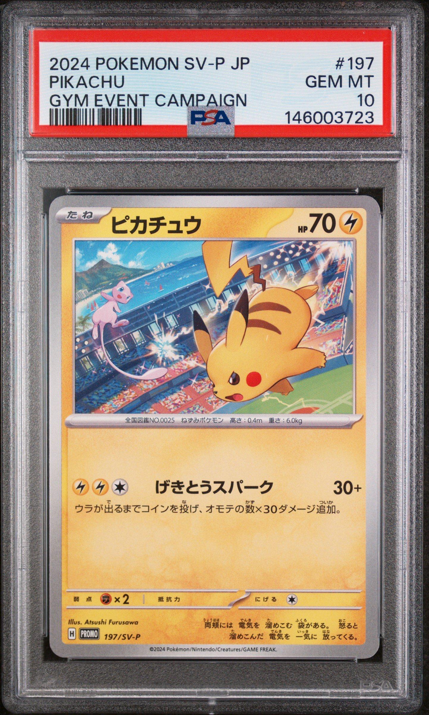 2024 Pokemon Japanese Sv-p Promo 197 Pikachu Gym Event Campaign