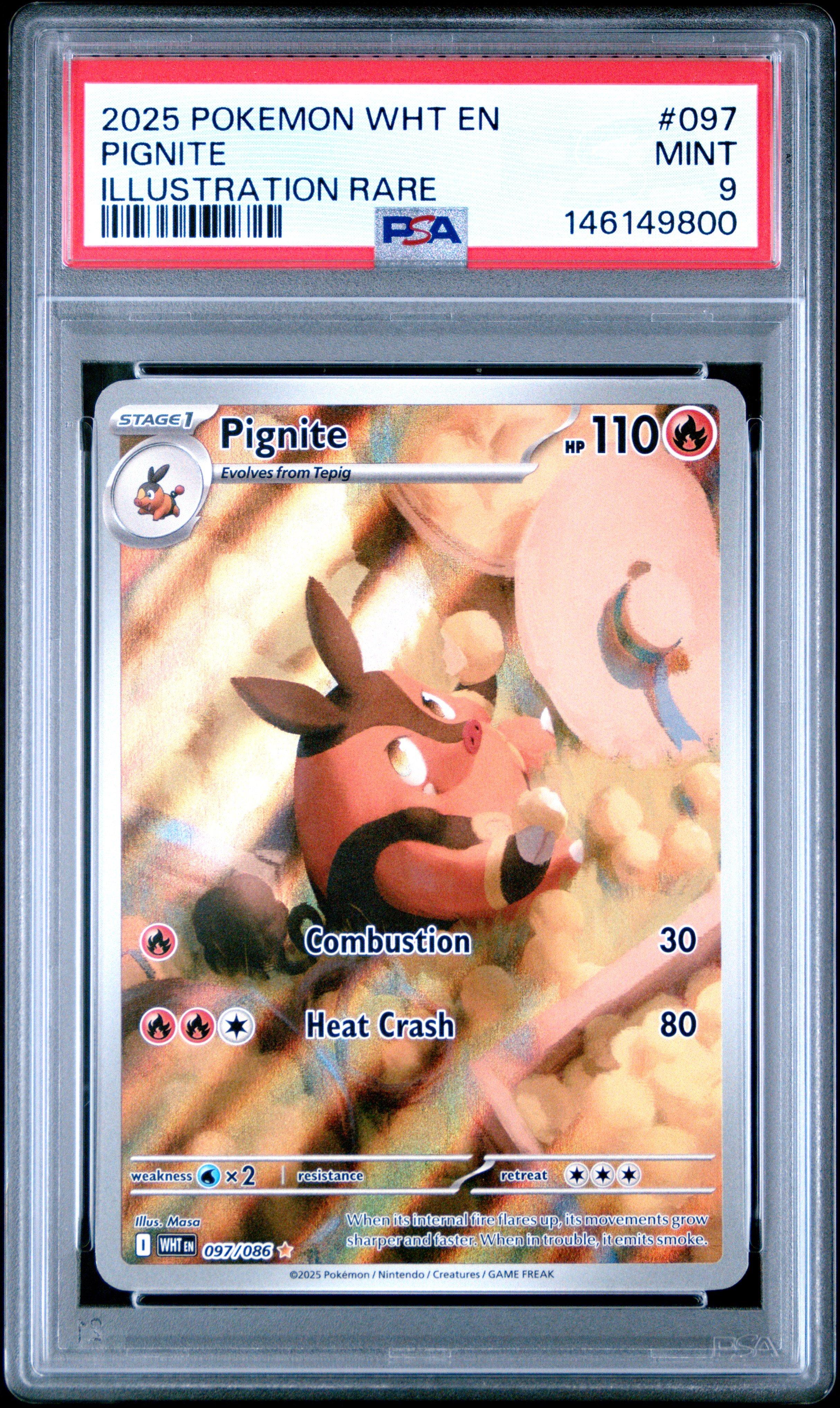 その他 L GEAR SOLID Trading Card #097 PIG 2025 Pokemon Wht En-white Flare 097 Pignite Illustration Rare PSA