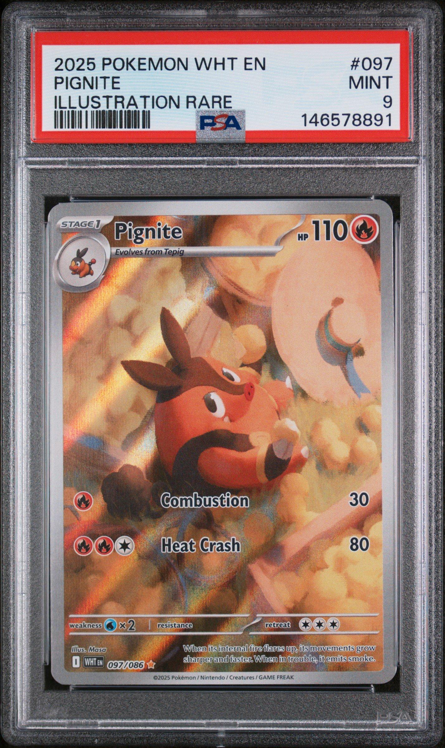 2025 Pokemon Wht En-white Flare 097 Pignite Illustration Rare PSA 9