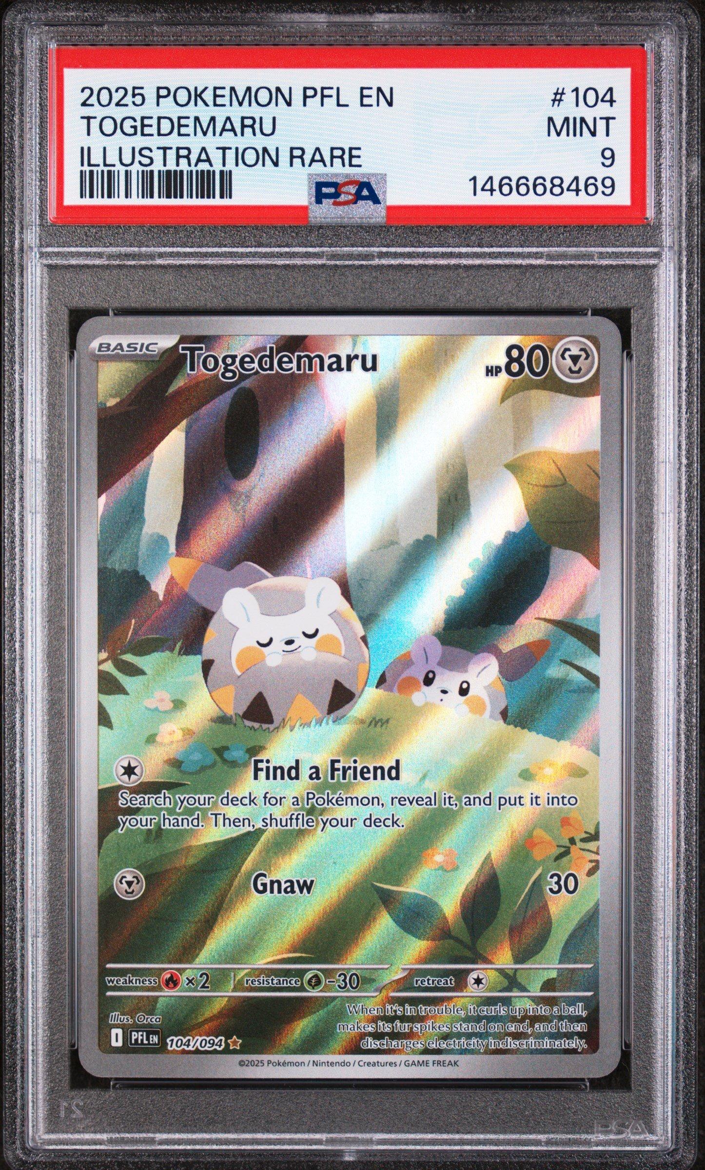 pokemon card togedemaru Pokemon Togedemaru 104/094 Phantasmal Flames Extended Artwork Case