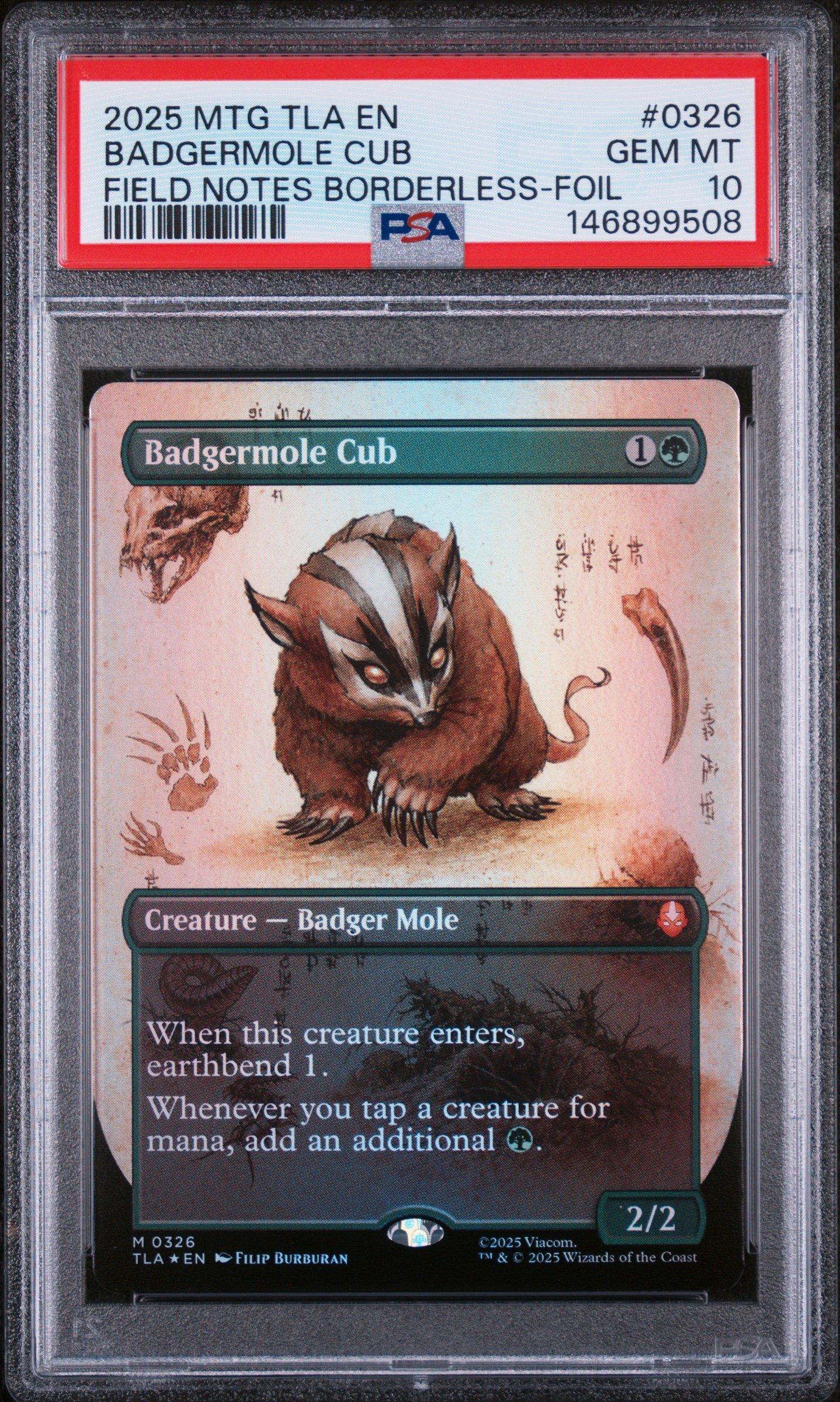 mtg badger cards FOIL Giant Badger x1 Eighth Edition 8th 1x Magic the Gathering MTG