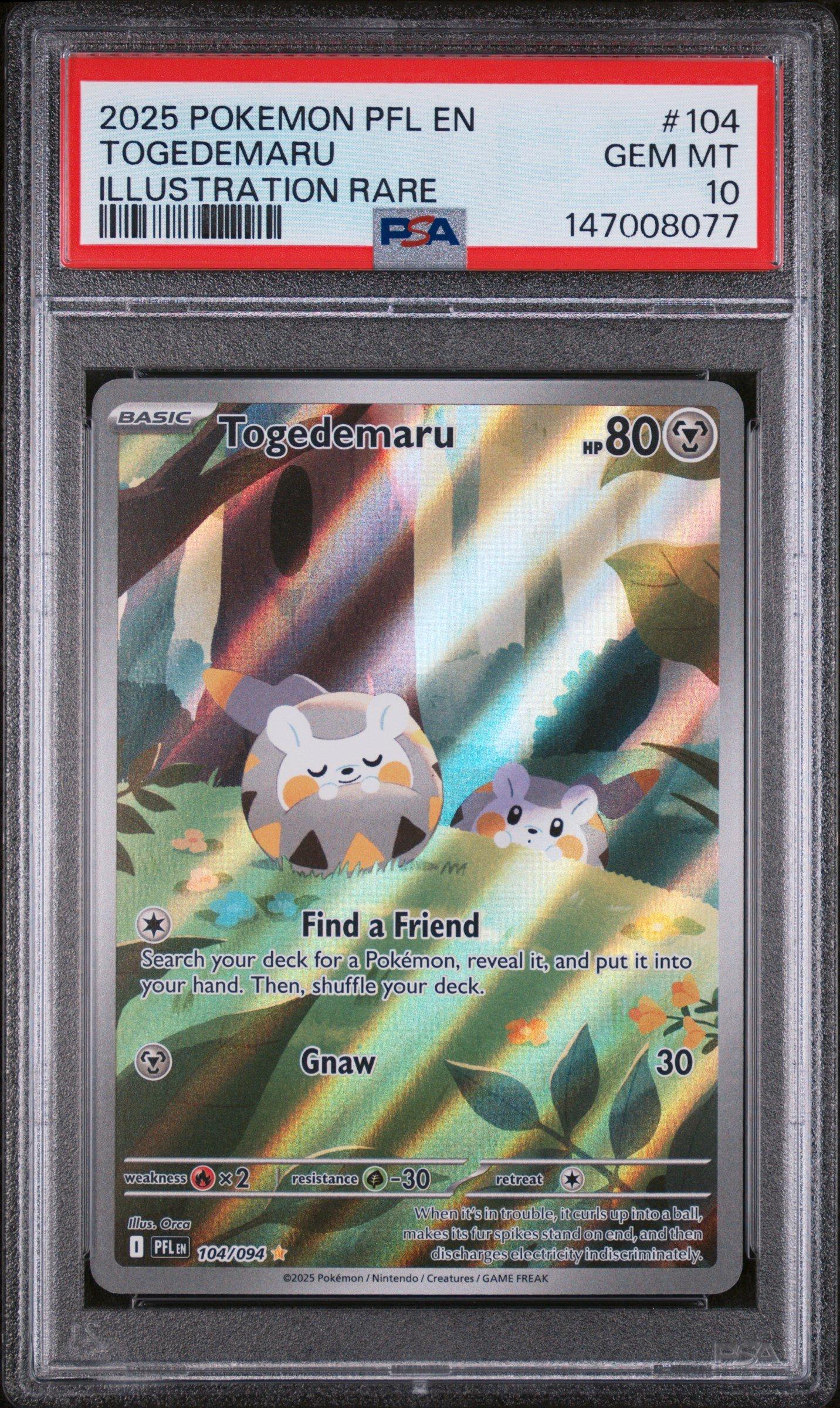pokemon togedemaru card 2025 Pokemon Pfl En-phantasmal Flames 104 Togedemaru Illustration Rare PSA  10 Graded Card