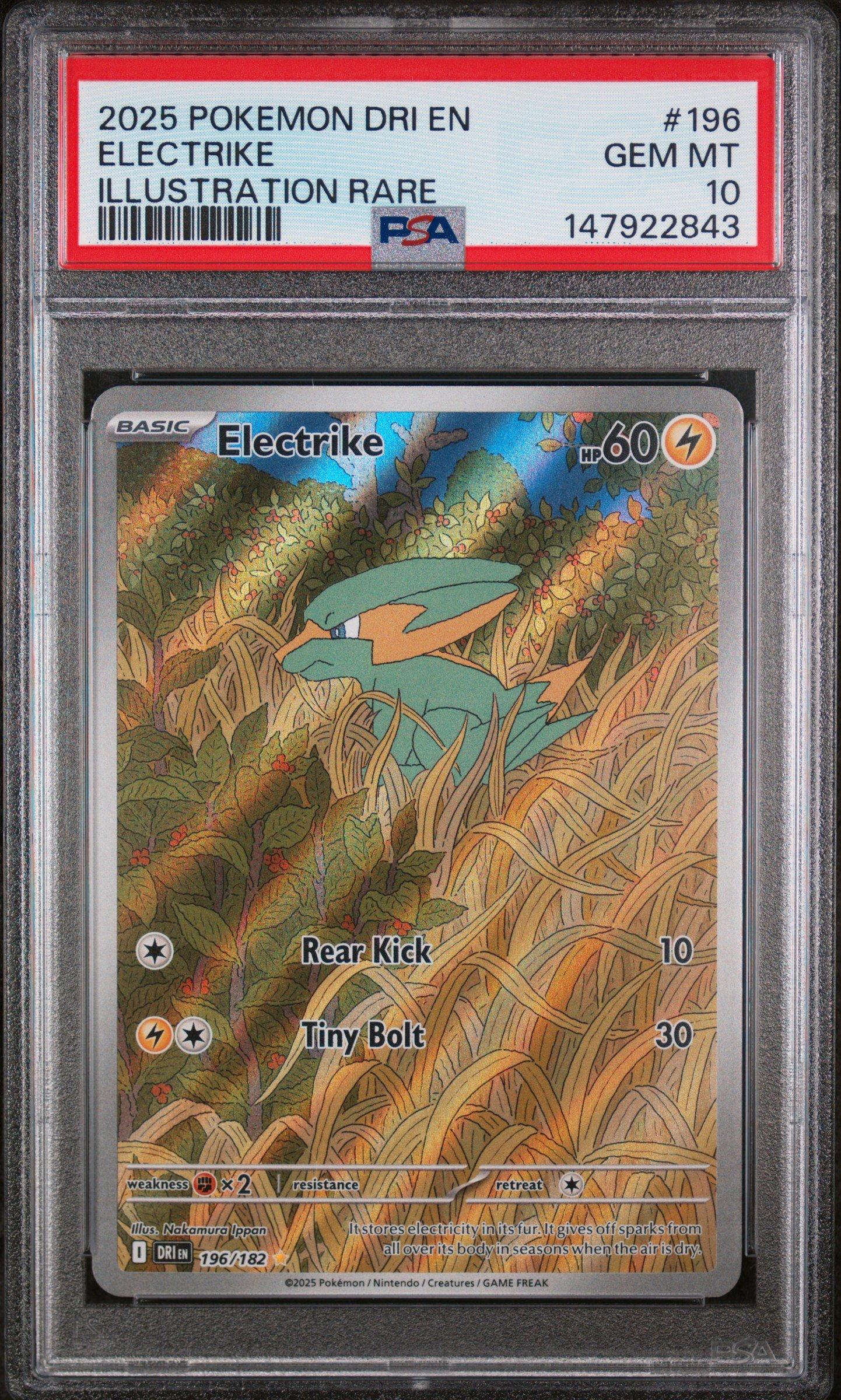 2025 Pokemon Dri En-destined Rivals 196 Electrike Illustration