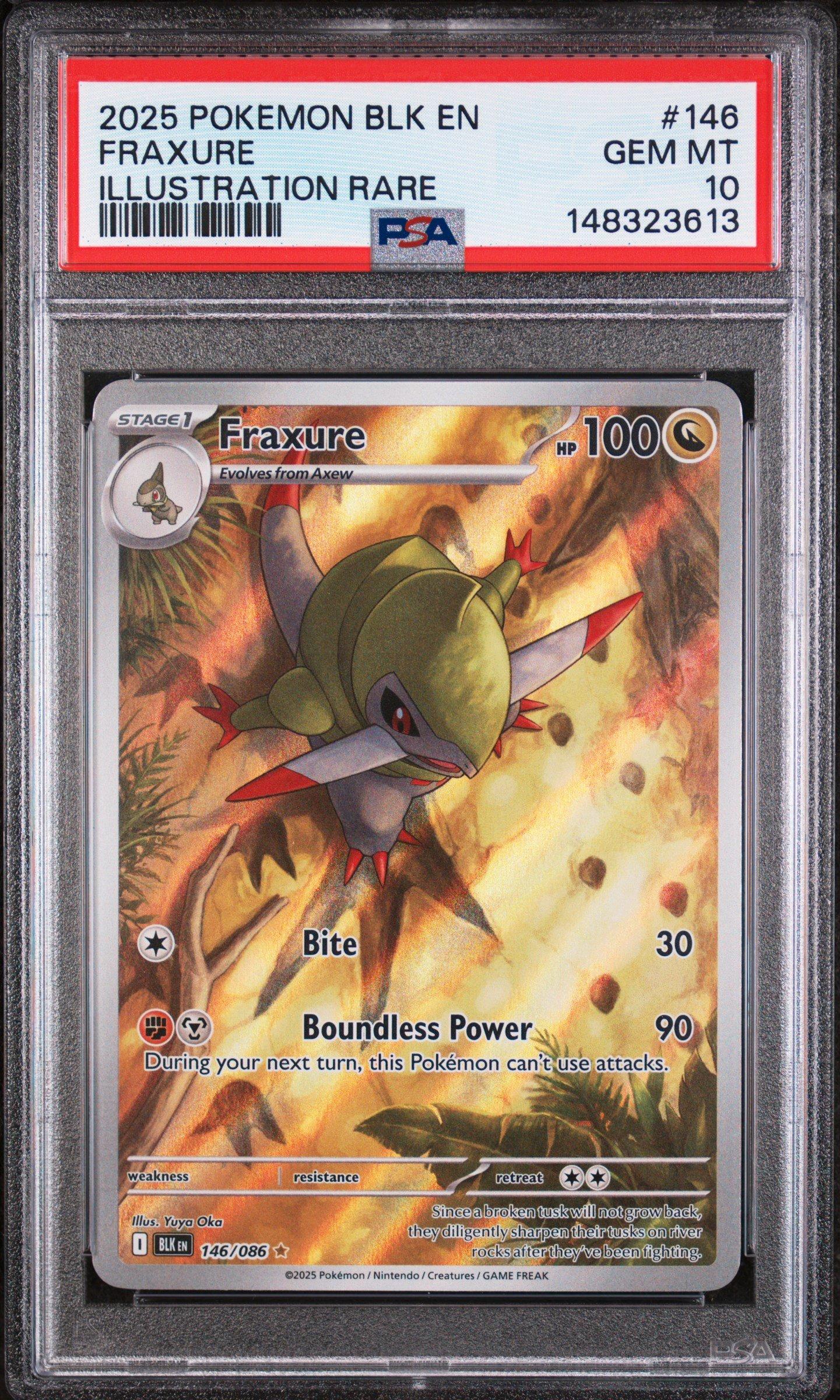 2025 Pokemon Blk En-black Bolt 146 Fraxure Illustration Rare PSA 10