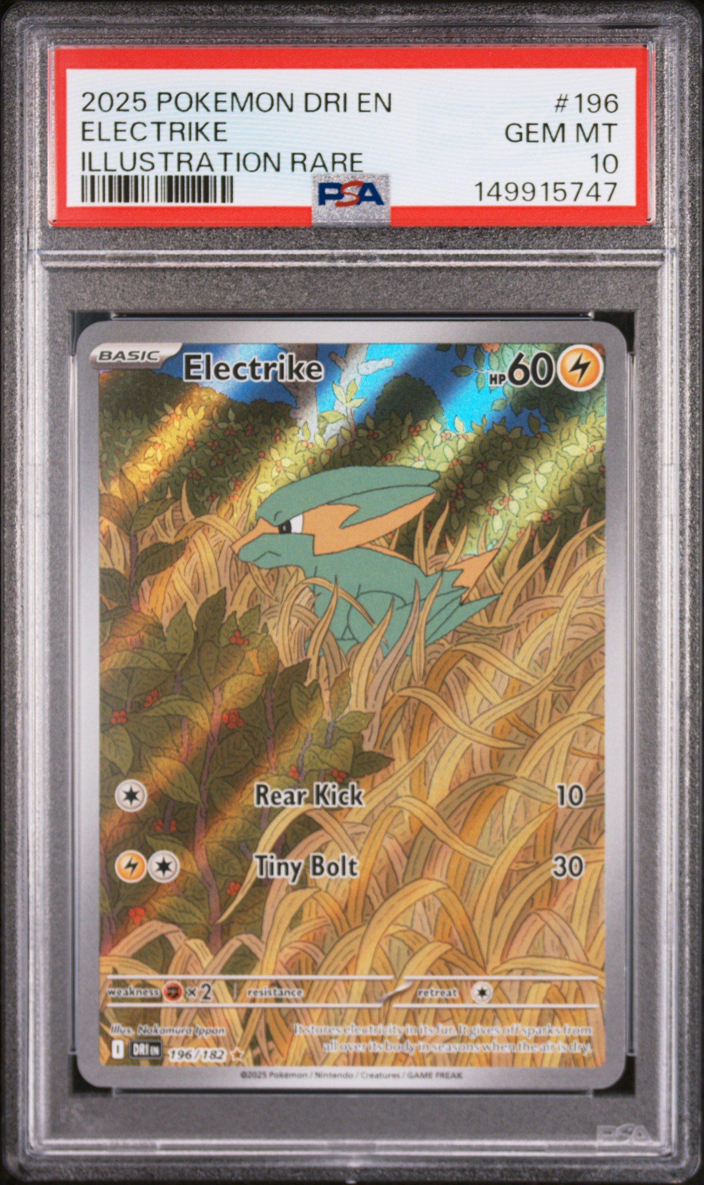 2025 Pokemon Dri En-destined Rivals 196 Electrike Illustration