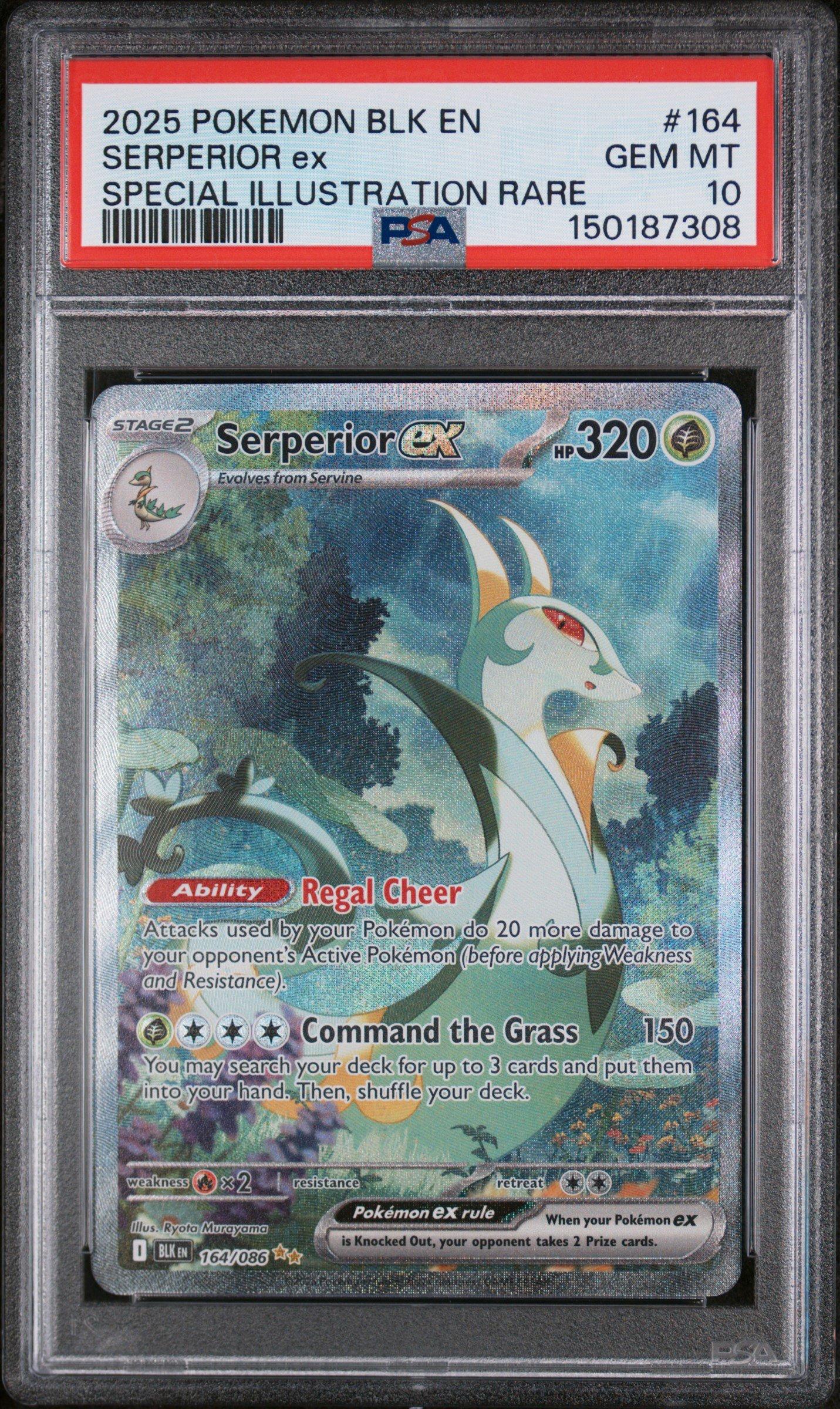 shiny serperior pokemon card 6IV - Battle Ready + EVs holofoil pattern or surface detail) Serperior Cards | Dex -