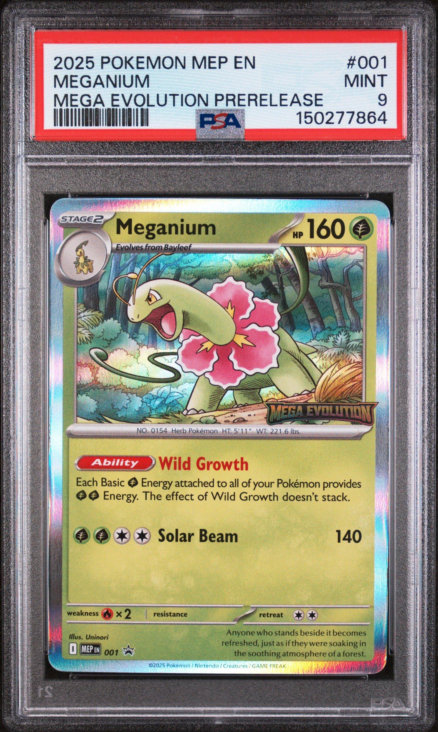 2025 Pokemon Mep En-me Black Star Promo 001 Meganium Mega