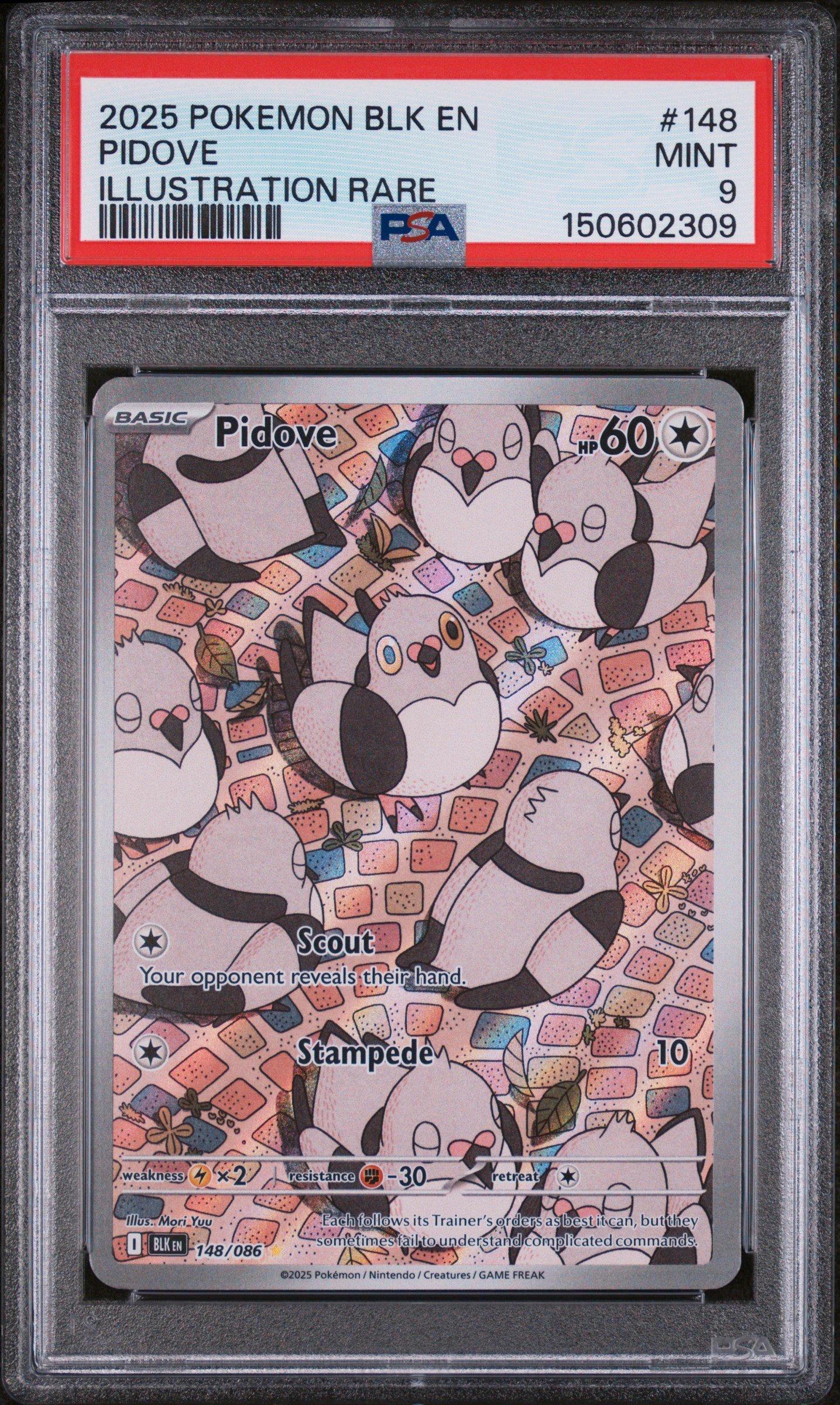 2025 Pokemon Blk En-black Bolt 148 Pidove Illustration Rare PSA 9