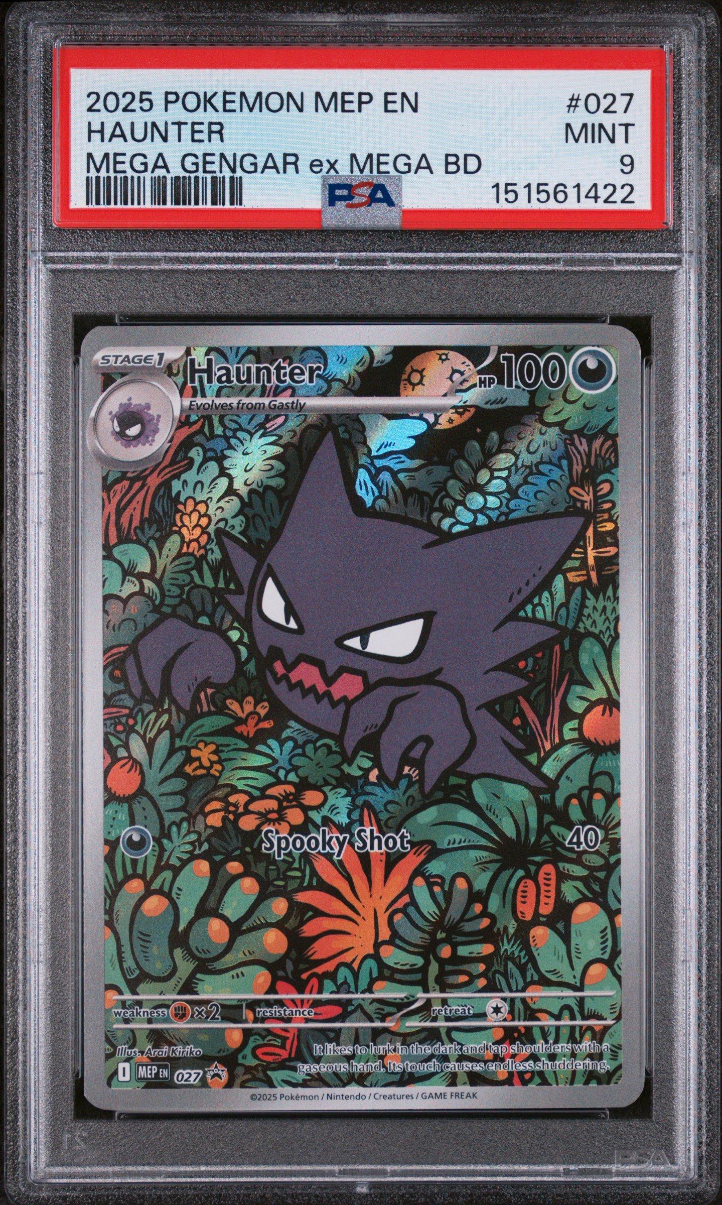 モンスターコレクションTCG 遊撃隊長グレイホーク サインパラレル Gengar Lv.X 97/99 Arceus Holo Ultra Rare Pokemon TCG full art