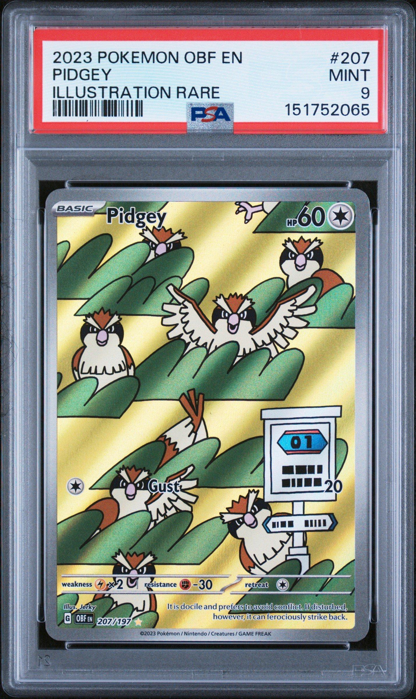 207/197 pokemon card Gold Pokmon TCG Pidgey Sv03: Obsidian Flames 207/197 Holo Illustration  Rare