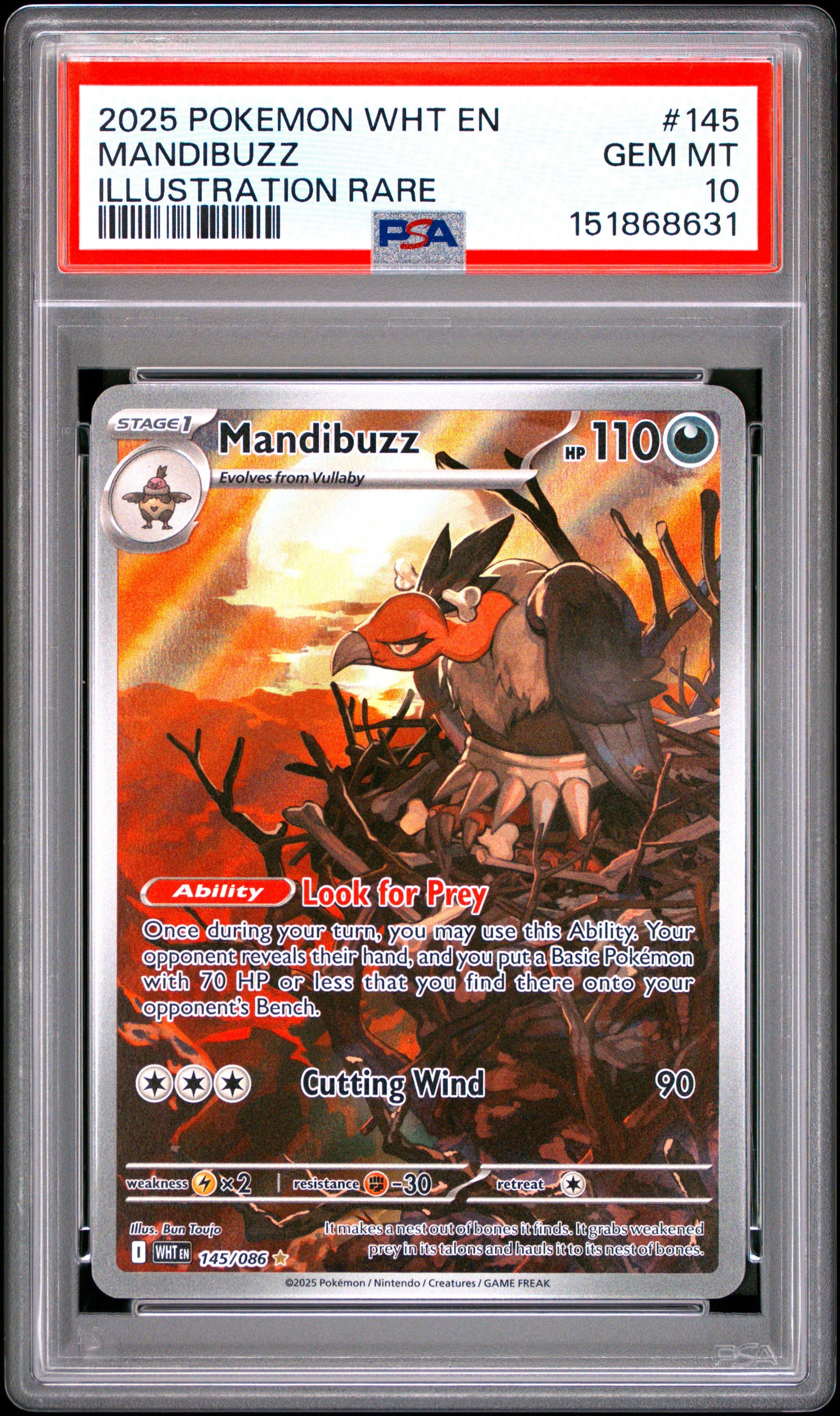 2025 Pokemon Wht En-white Flare 145 Mandibuzz Illustration Rare