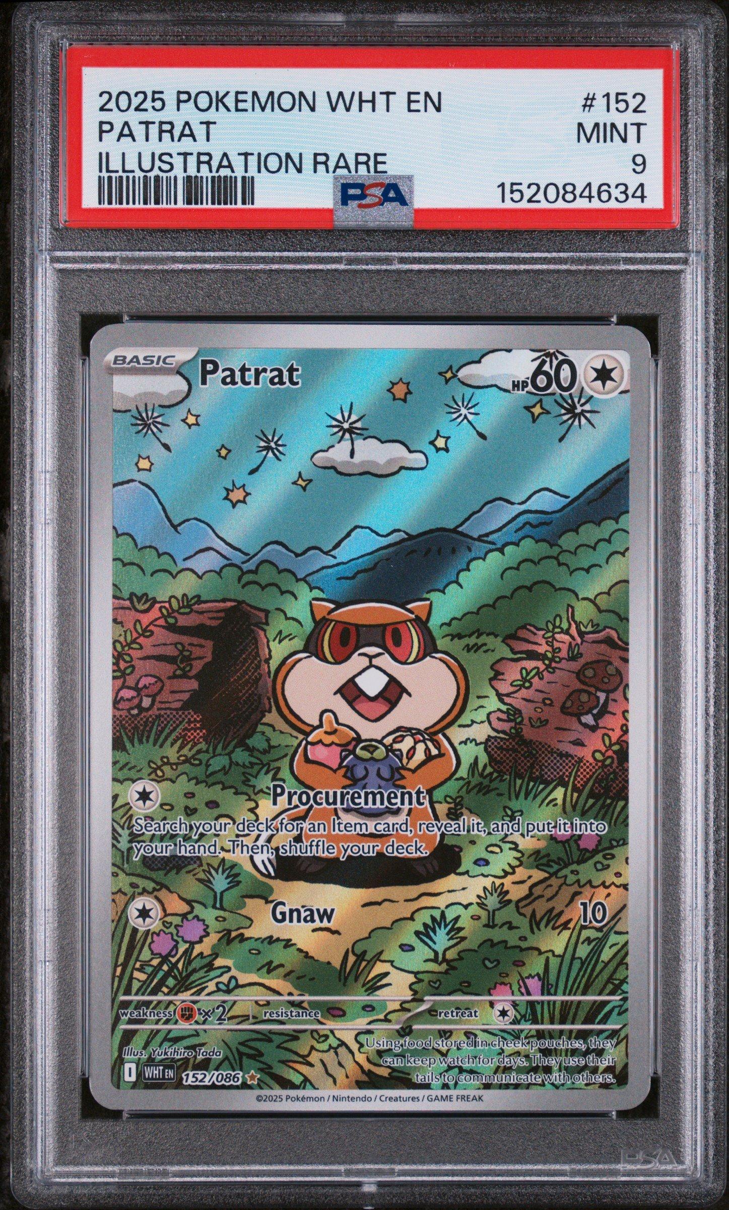 patrat pokemon card Patrat 152/086 Sv: White Flare Holo