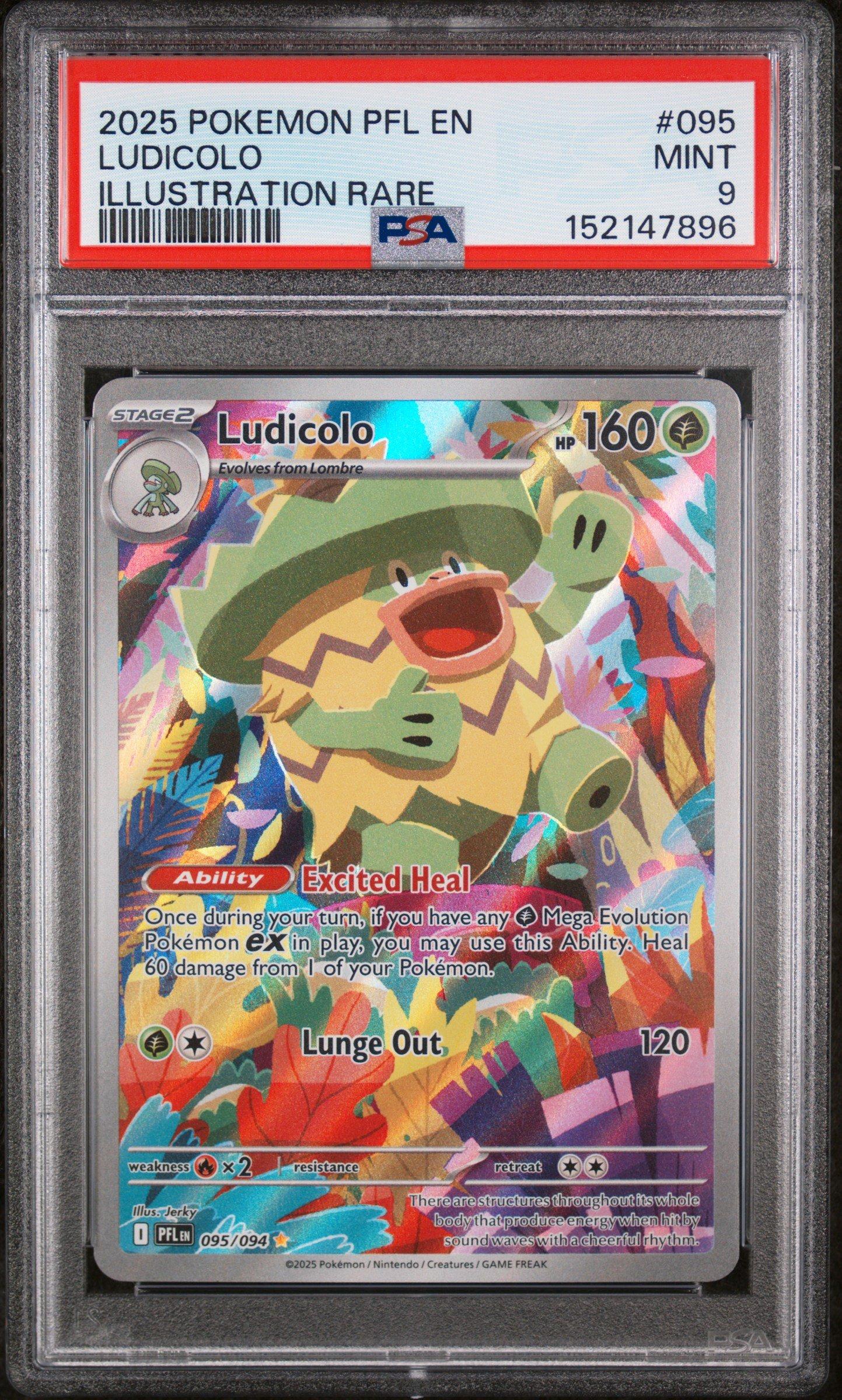 what size toploader for pokemon cards Perfect Fit Toploaders – Precision TCG Card Protectors (50 Pack) –  CollectaBeast