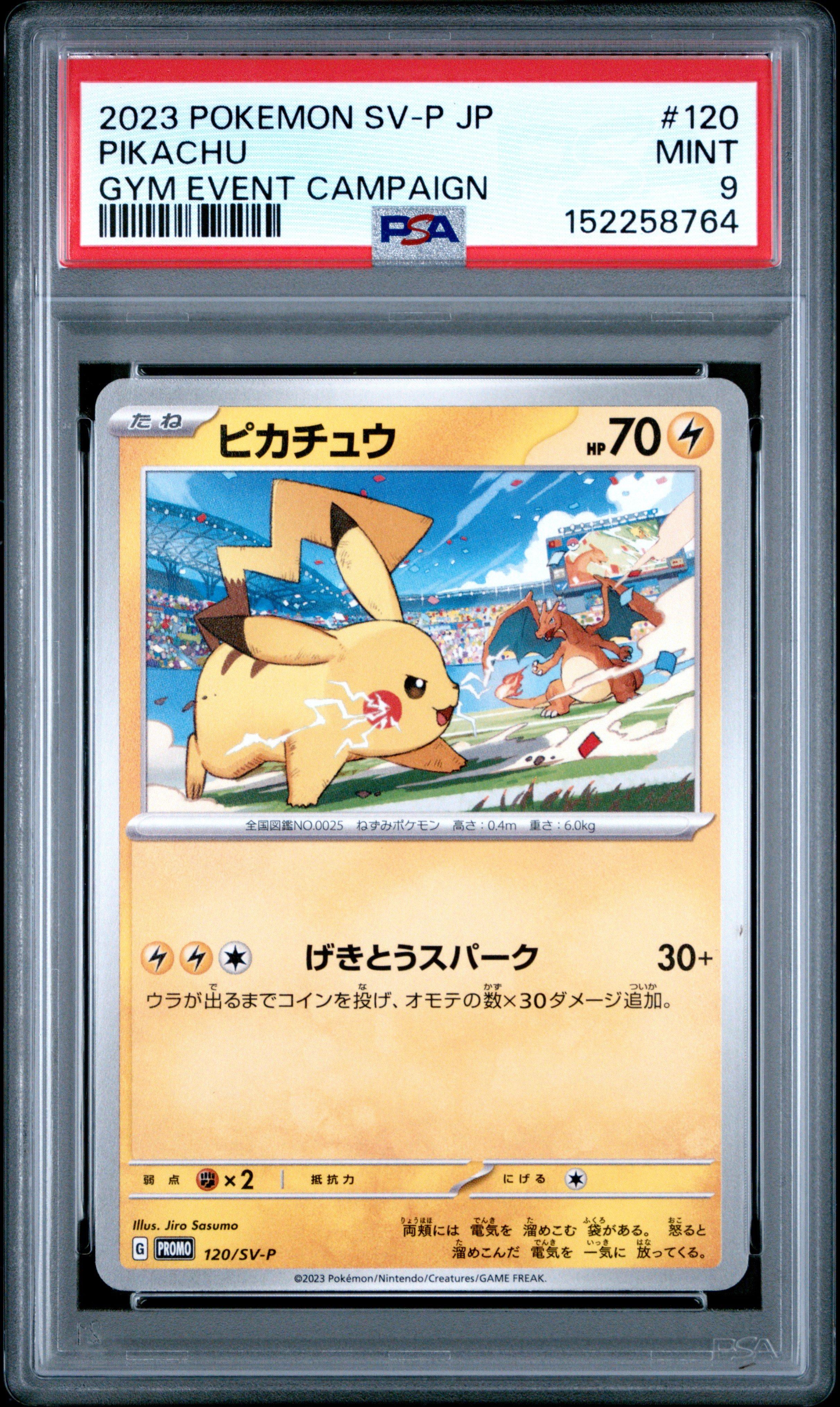 【PSA 10】ピカチュウ SV PROMO #120 GYM 2023 Pokemon Japanese Sv-p Promo 120 Pikachu Gym Event Campaign