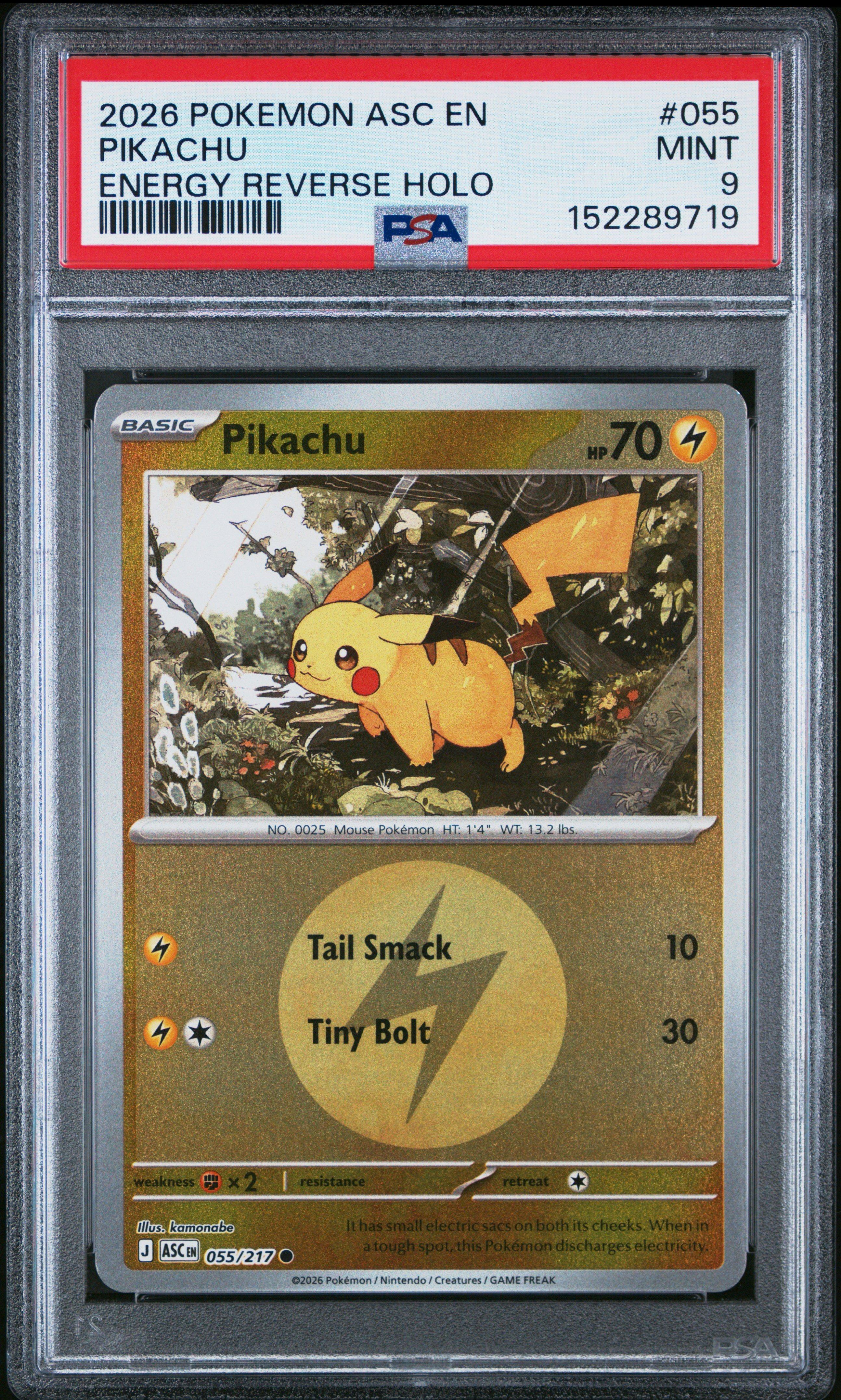 holographic pikachu card League Promos | Pokmon Lightning Rarity Pikachu Holographic Pokmon TCG Pocket