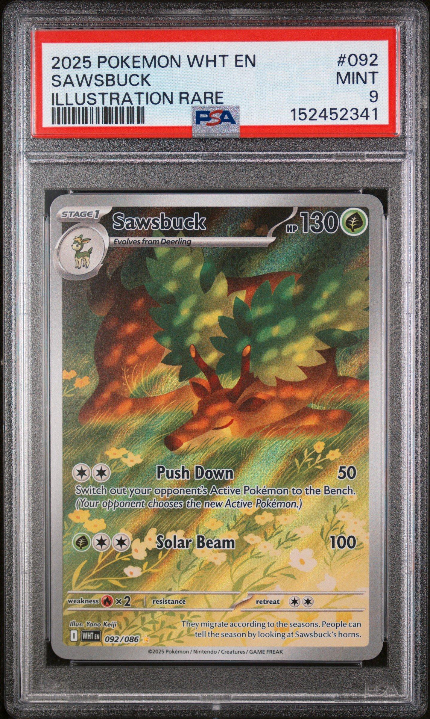 2025 Pokemon Wht En-white Flare 092 Sawsbuck Illustration Rare PSA