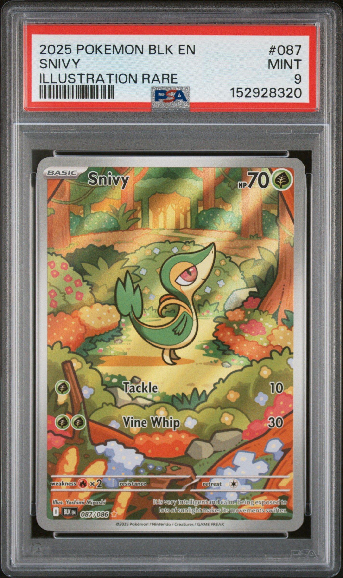2025 Pokemon Blk En-black Bolt 087 Snivy Illustration Rare PSA 9