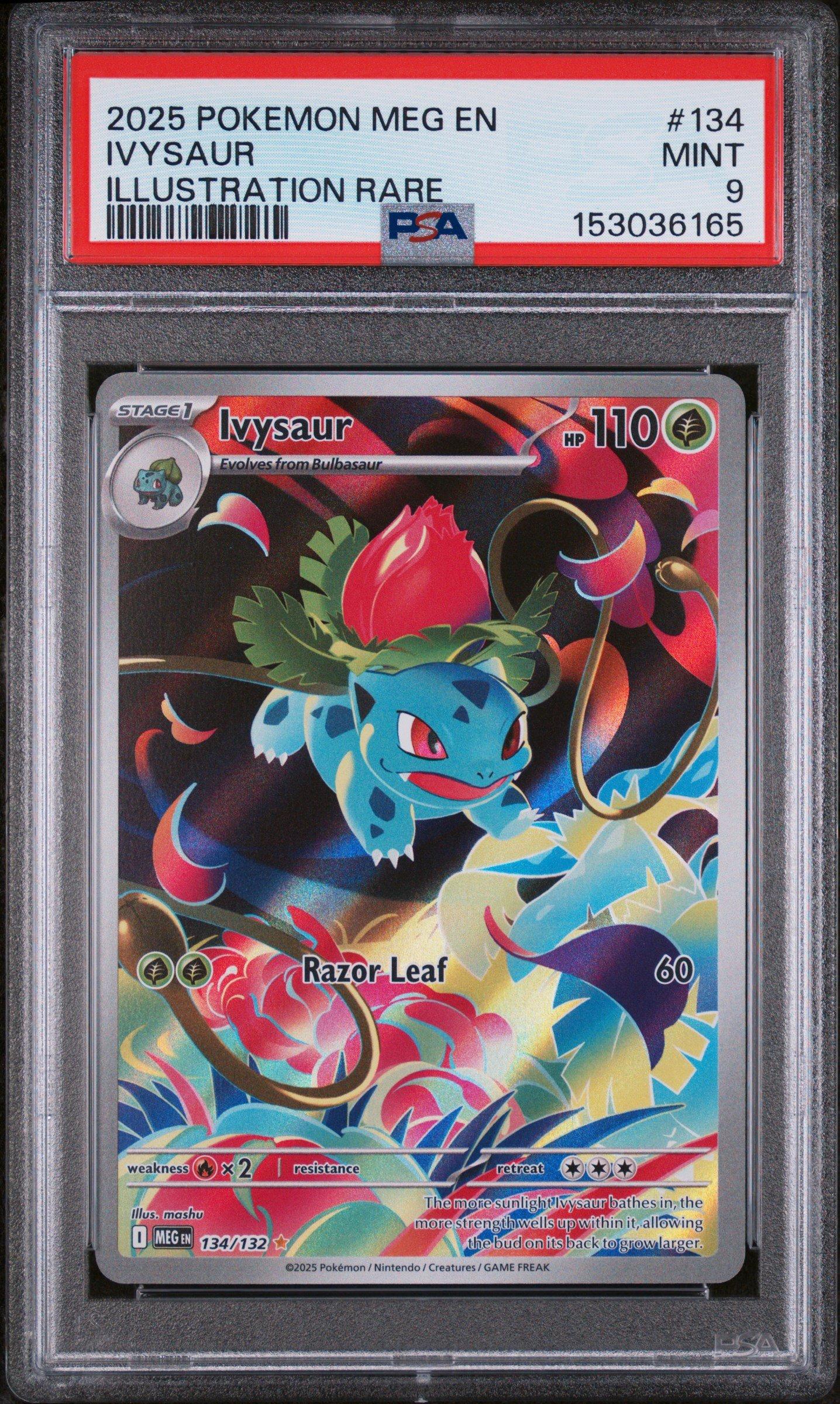 ポケモンカードゲーム Pokemon ivysaur mega brave 3 psa slabs 2025 Pokemon Meg En-mega Evolution 134 Ivysaur Illustration Rare