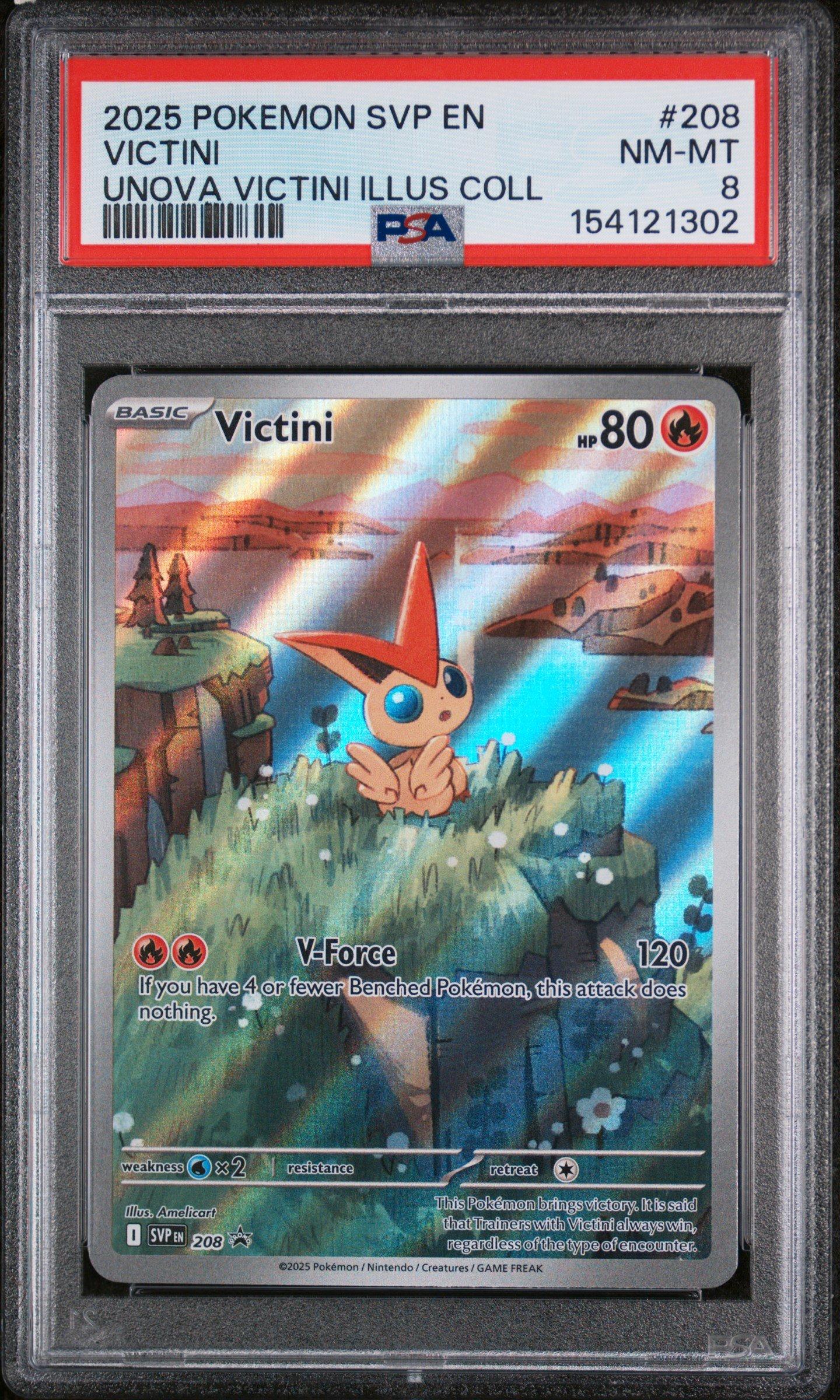 amelicart pokemon cards Trading Card Game Cardex Summer vibe  Wasn't expecting