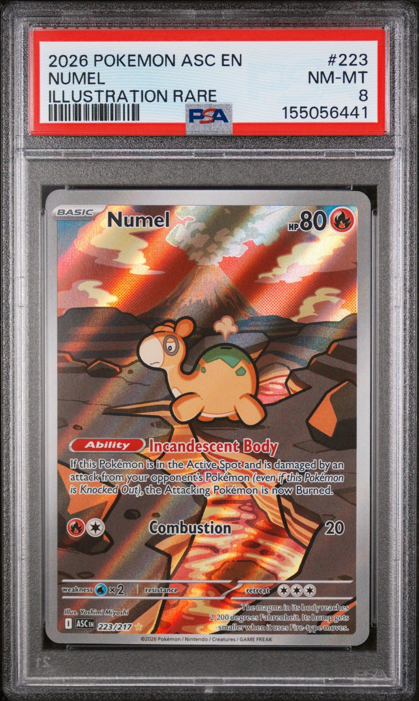 pokemon card numel 2026 Pokemon Asc En-ascended Heroes 223 Numel Illustration Rare PSA 8