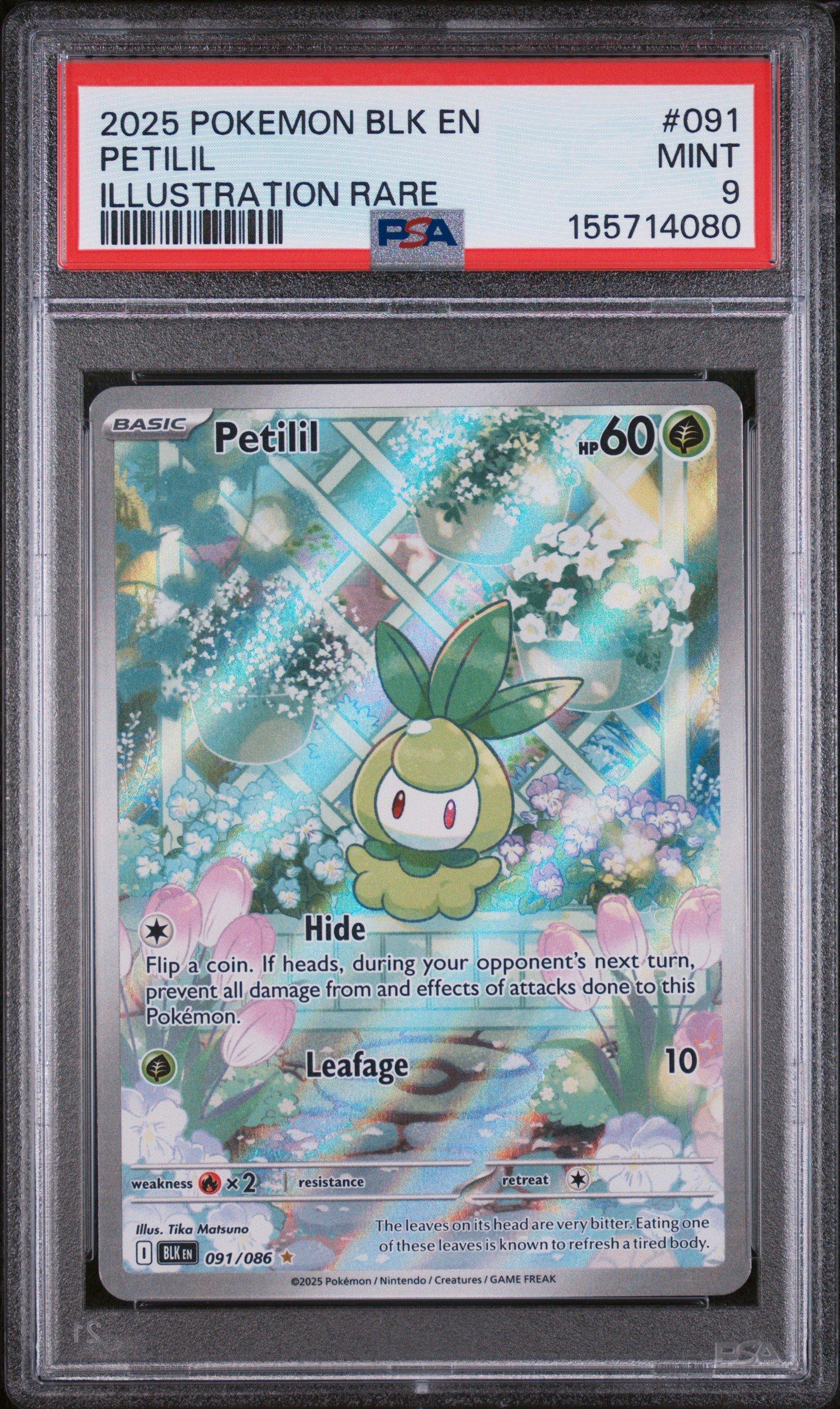 petilil pokemon card value POKMON GAME s11a 007/068 C Colorless Seed Bomb (20) Weakness Fire 2 Retreat Cost Petilil 009/195 - NM /