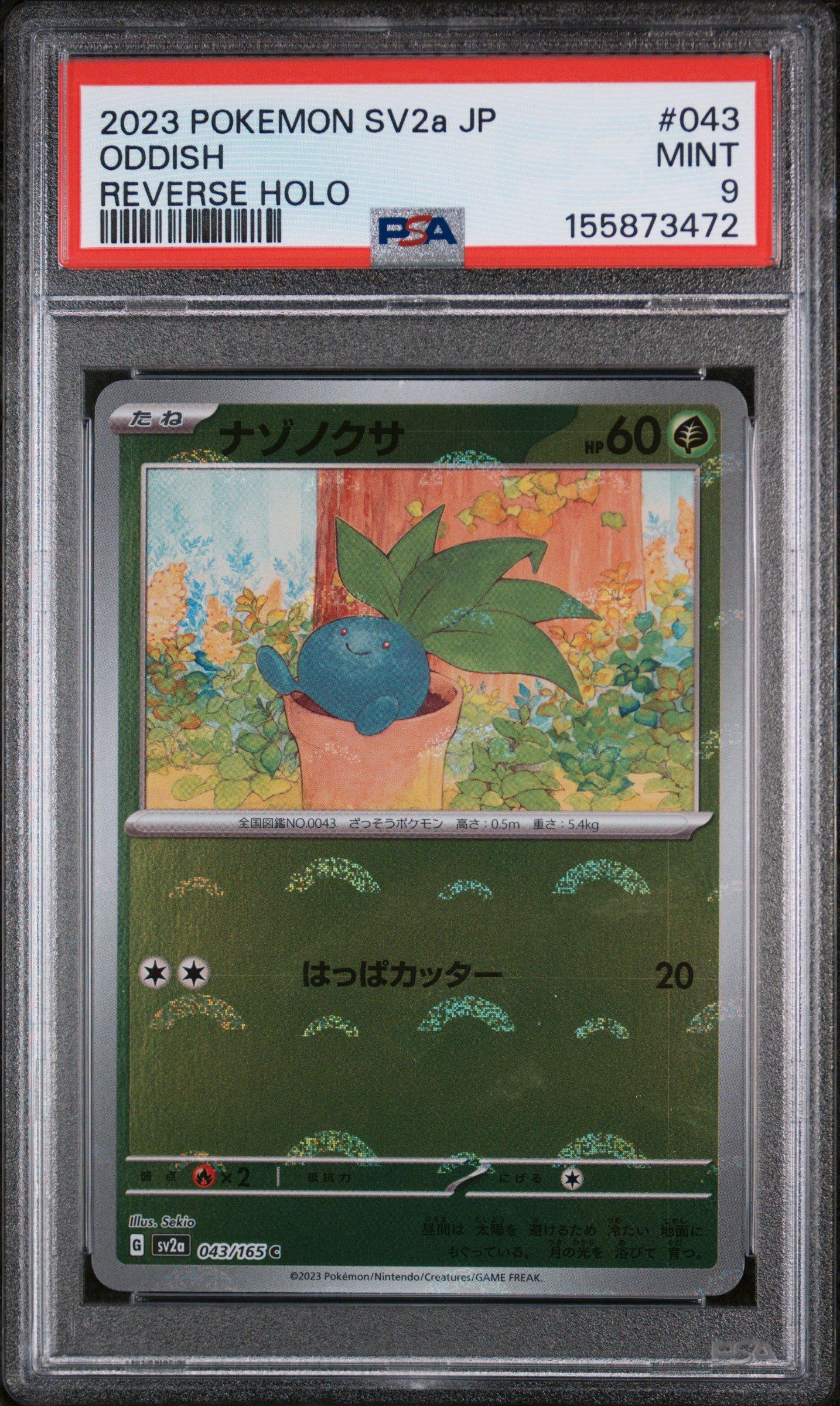 how to check value of japanese pokemon cards What is a good site to check Japanese card values? Pulled this and trying  to figure out it's value. I use TCG Player for English cards. : r/PokemonTCG