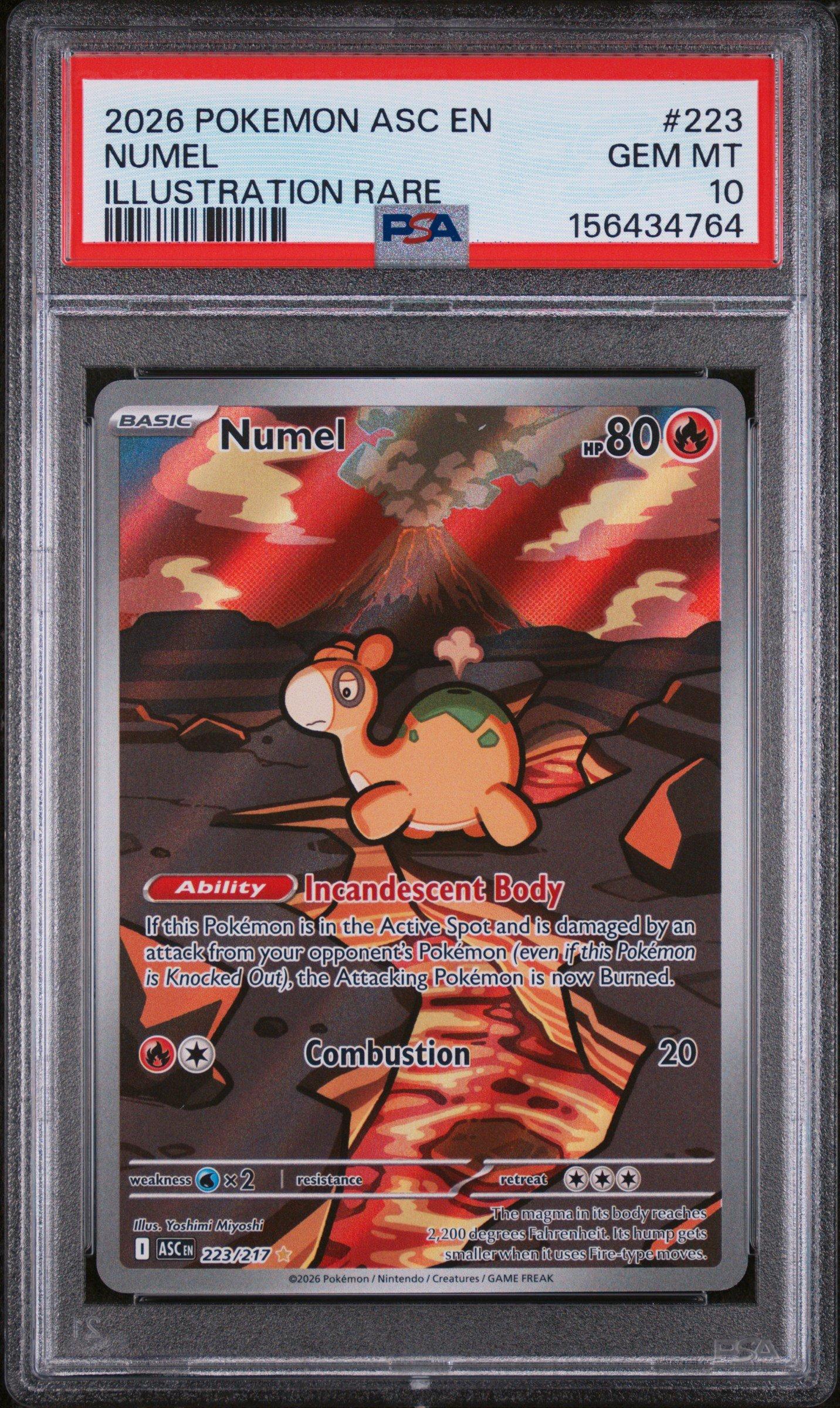 2026 Pokemon Asc En-ascended Heroes 223 Numel Illustration Rare