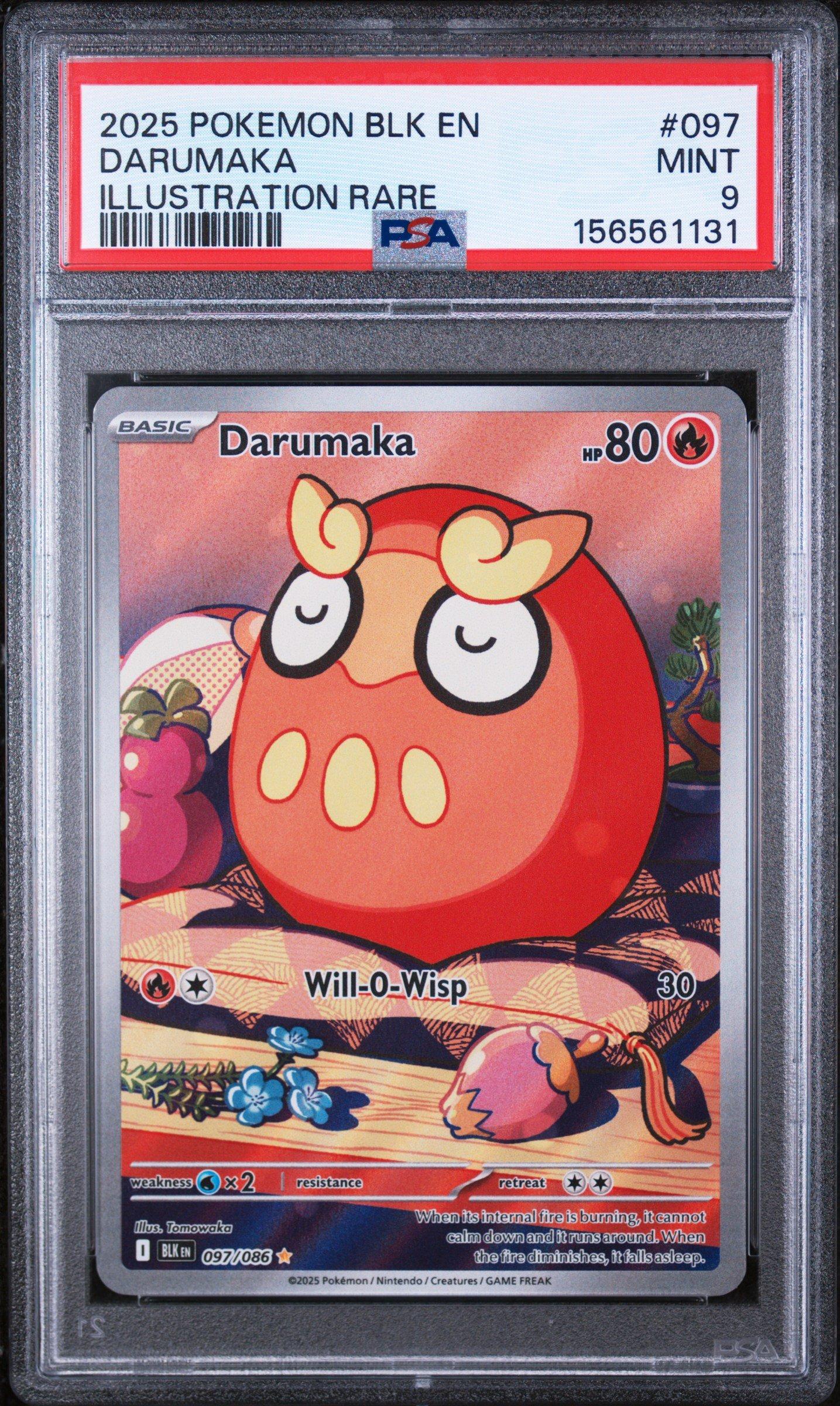 2025 Pokemon Blk En-black Bolt 097 Darumaka Illustration Rare PSA