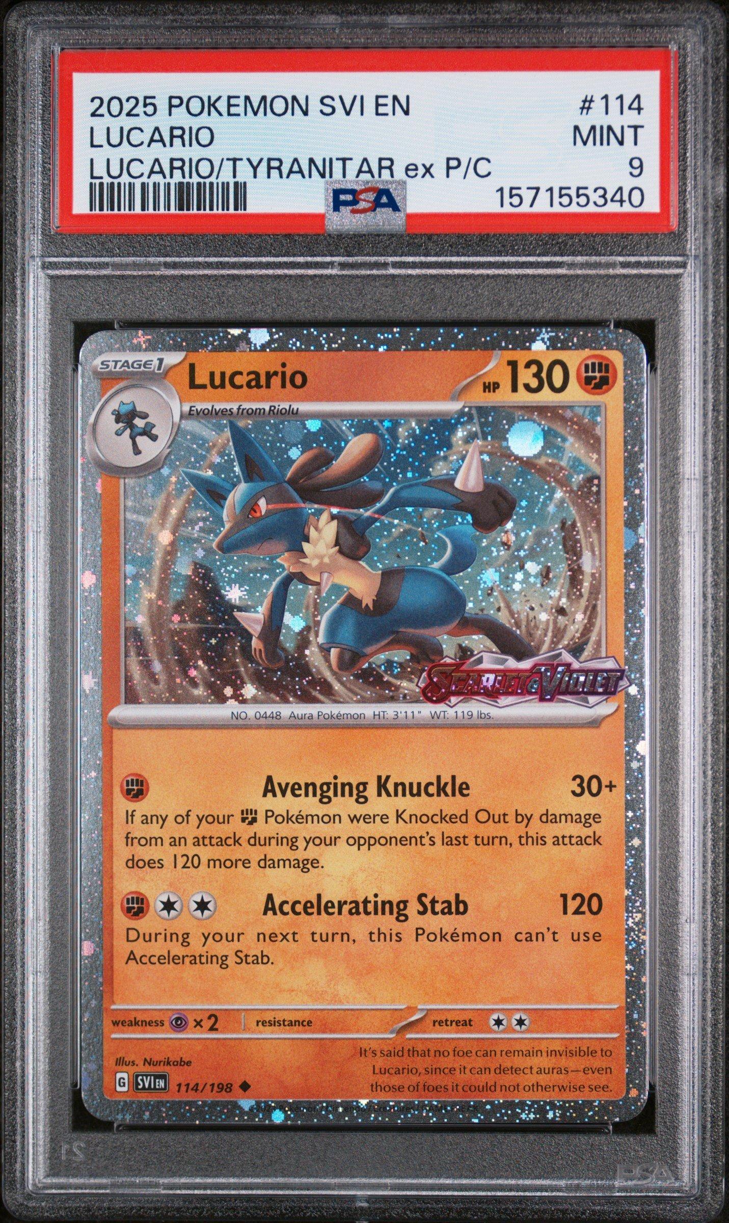 lucario pokemon card rare Pokemon Card】MEGA LUCARIO EX【MA】(228/193) (M2a) Japanese PSA10 – Fandom  Tokyo main image 0