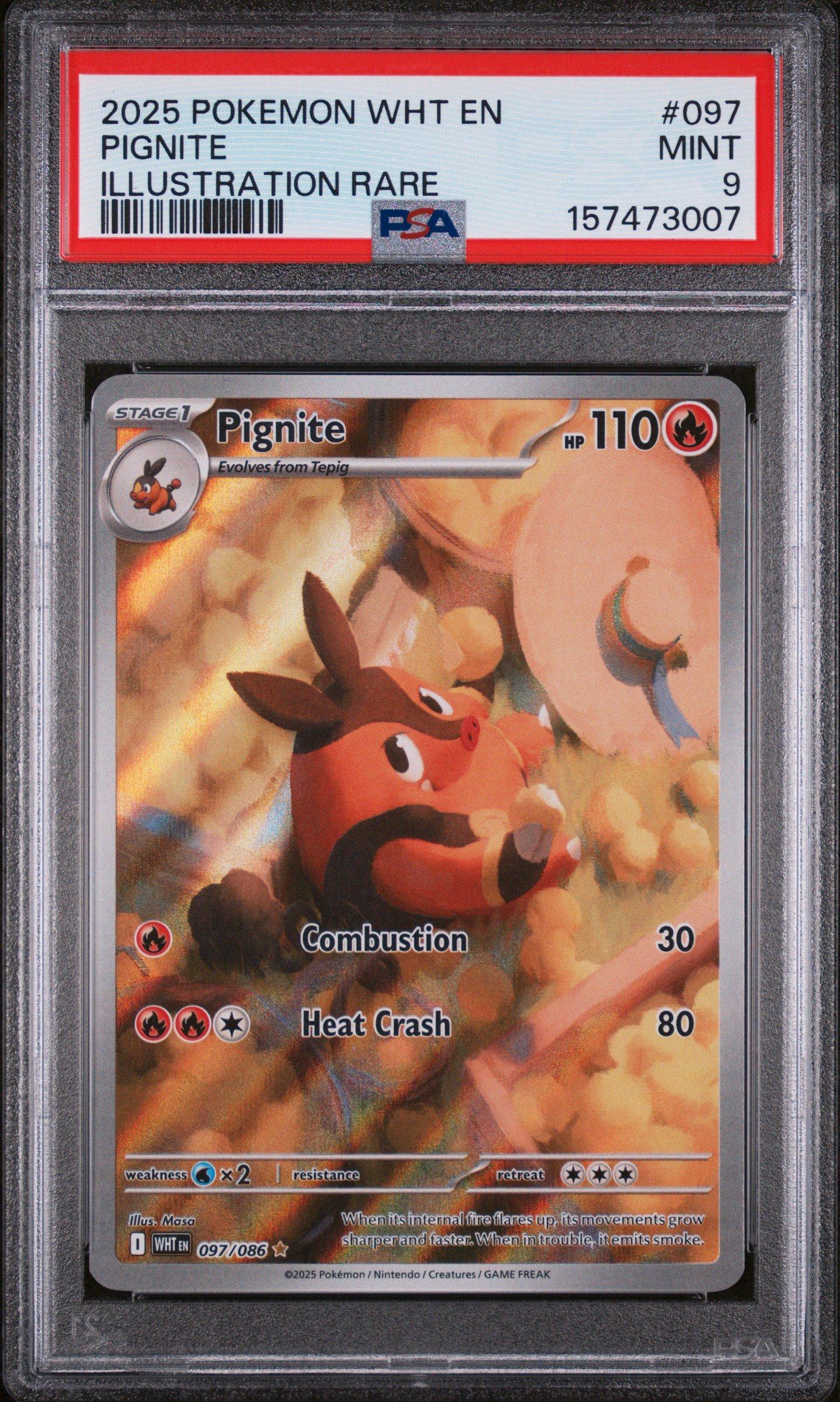 その他 L GEAR SOLID Trading Card #097 PIG 2025 Pokemon Wht En-white Flare 097 Pignite Illustration Rare PSA