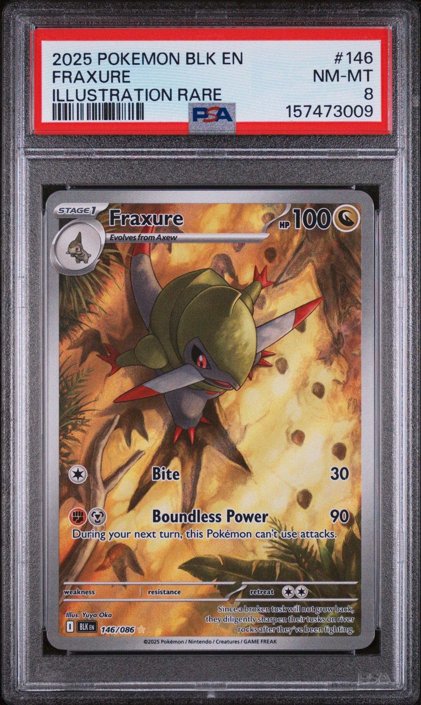 2025 Pokemon Blk En-black Bolt 146 Fraxure Illustration Rare PSA 8