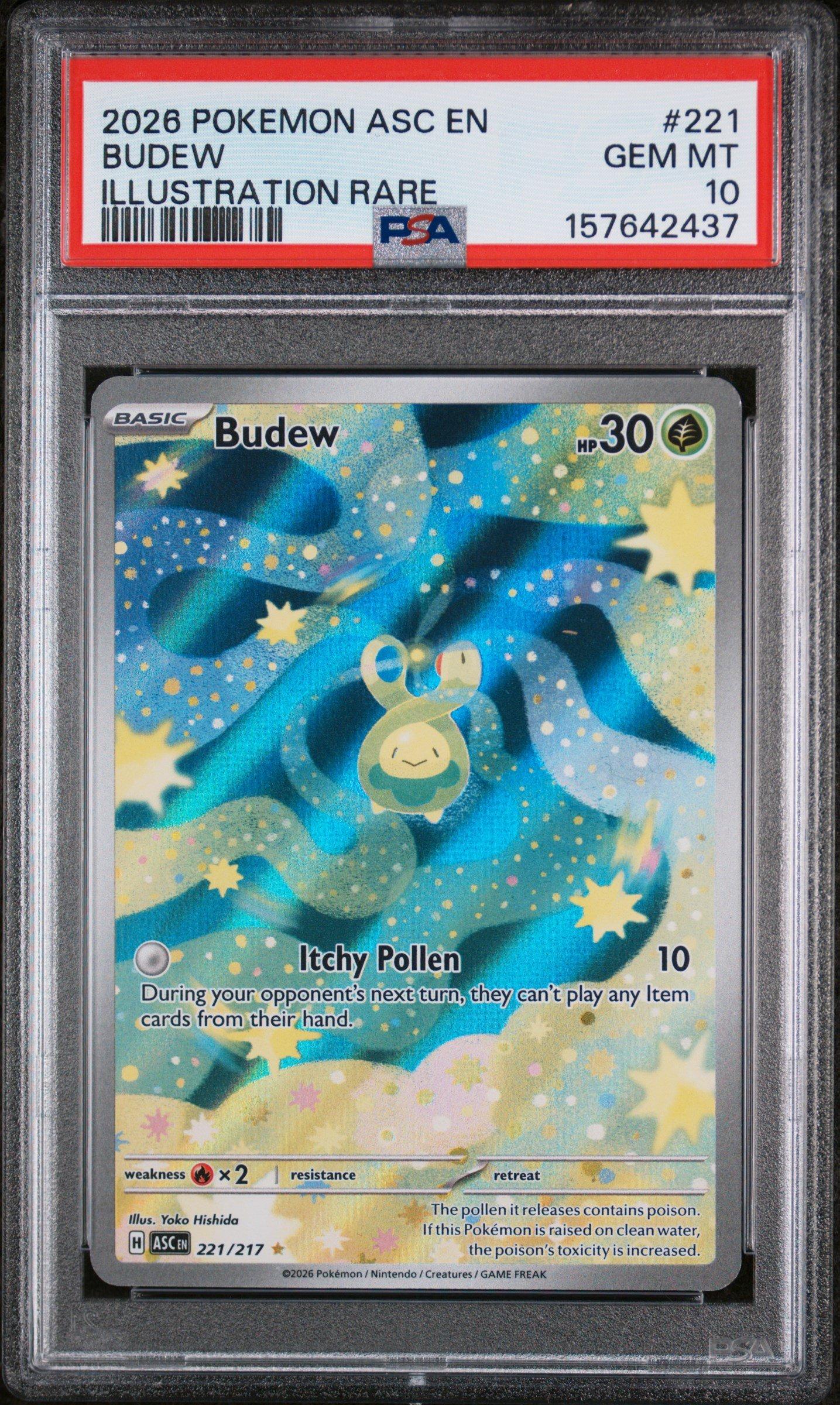 2026 Pokemon Asc En-ascended Heroes 221 Budew Illustration Rare