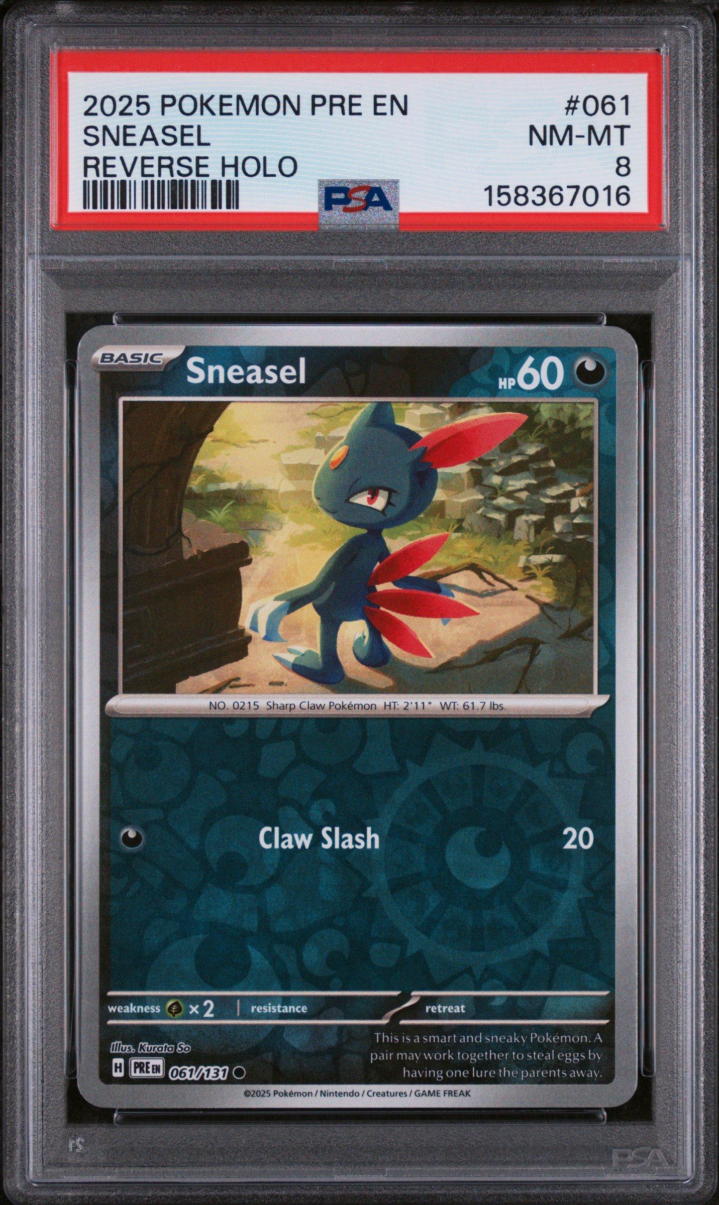 pokemon card collection for sale Best Pokmon Cards to Collect in 2026: A Las Vegas Collector's Guide