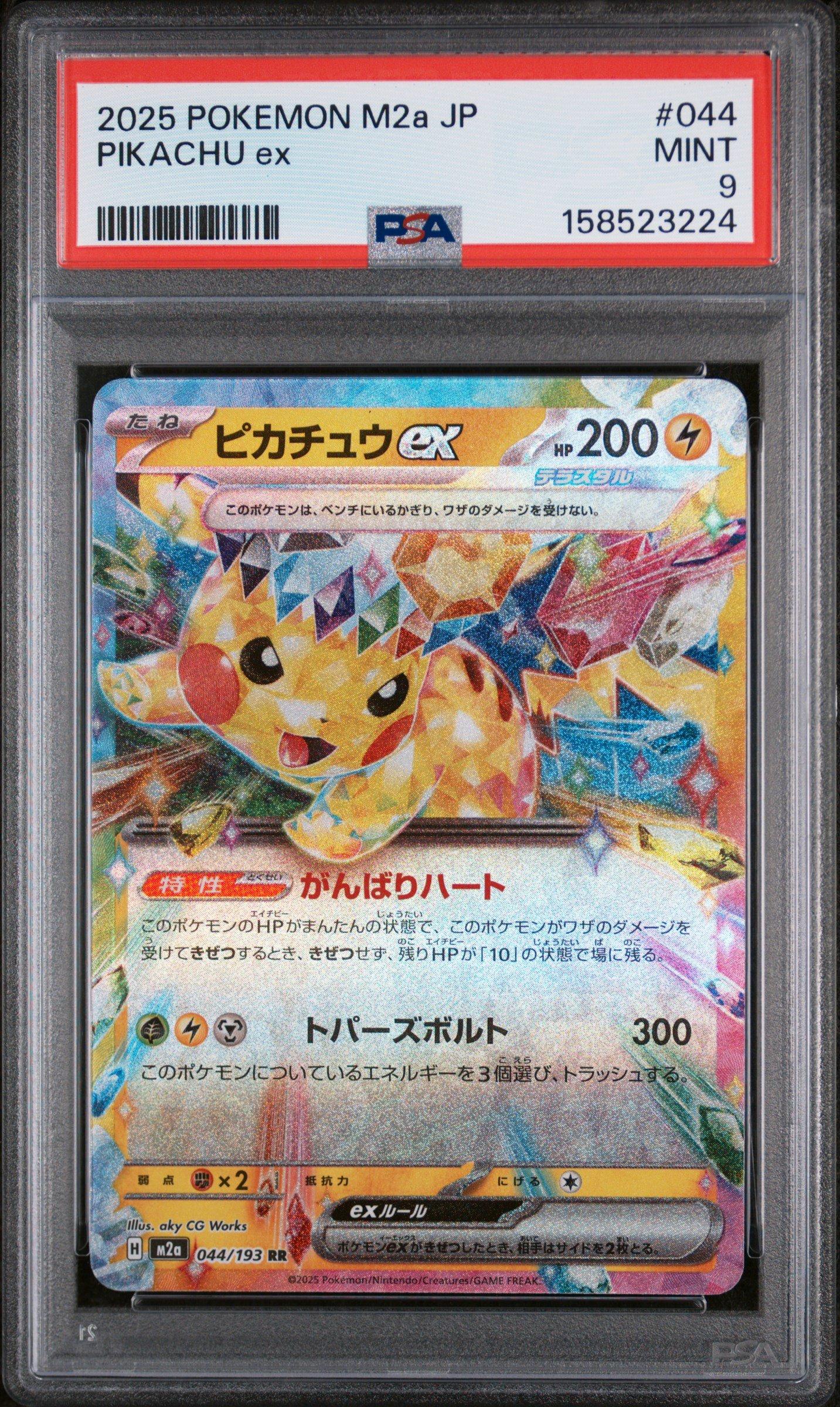 pokemon jumbo cards Pokemon: Jumbo Pikachu at the Museum Promo Card (Sealed)