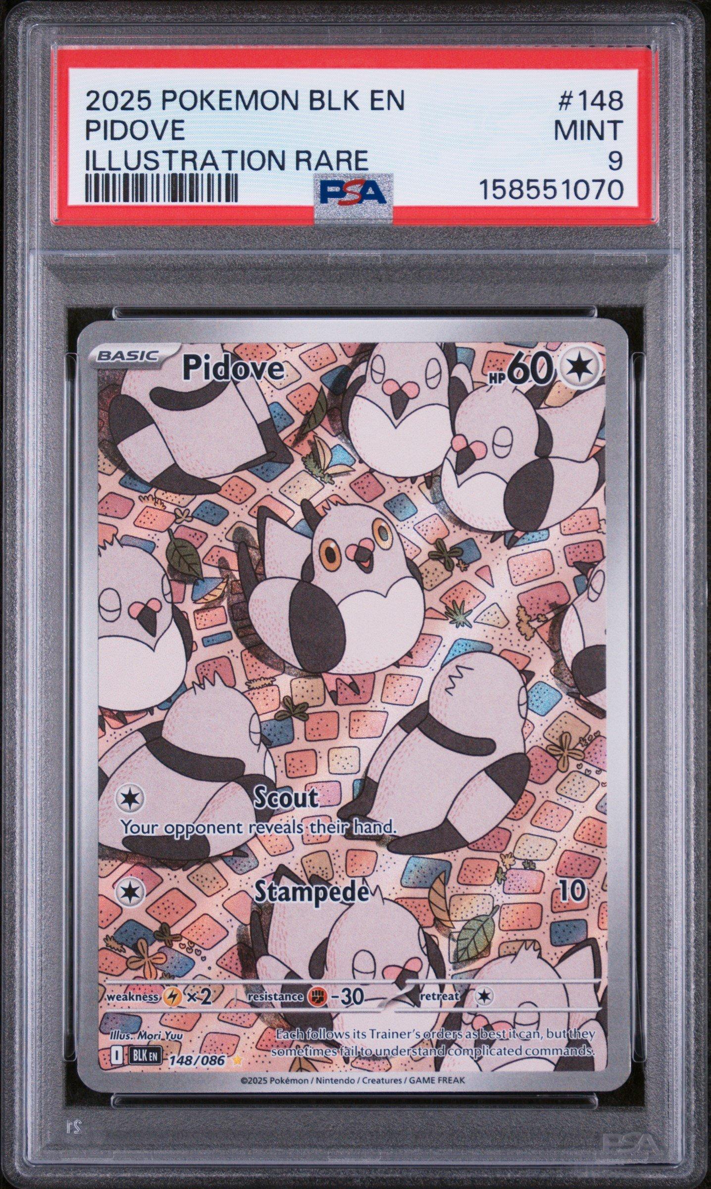 2025 Pokemon Blk En-black Bolt 148 Pidove Illustration Rare PSA 9