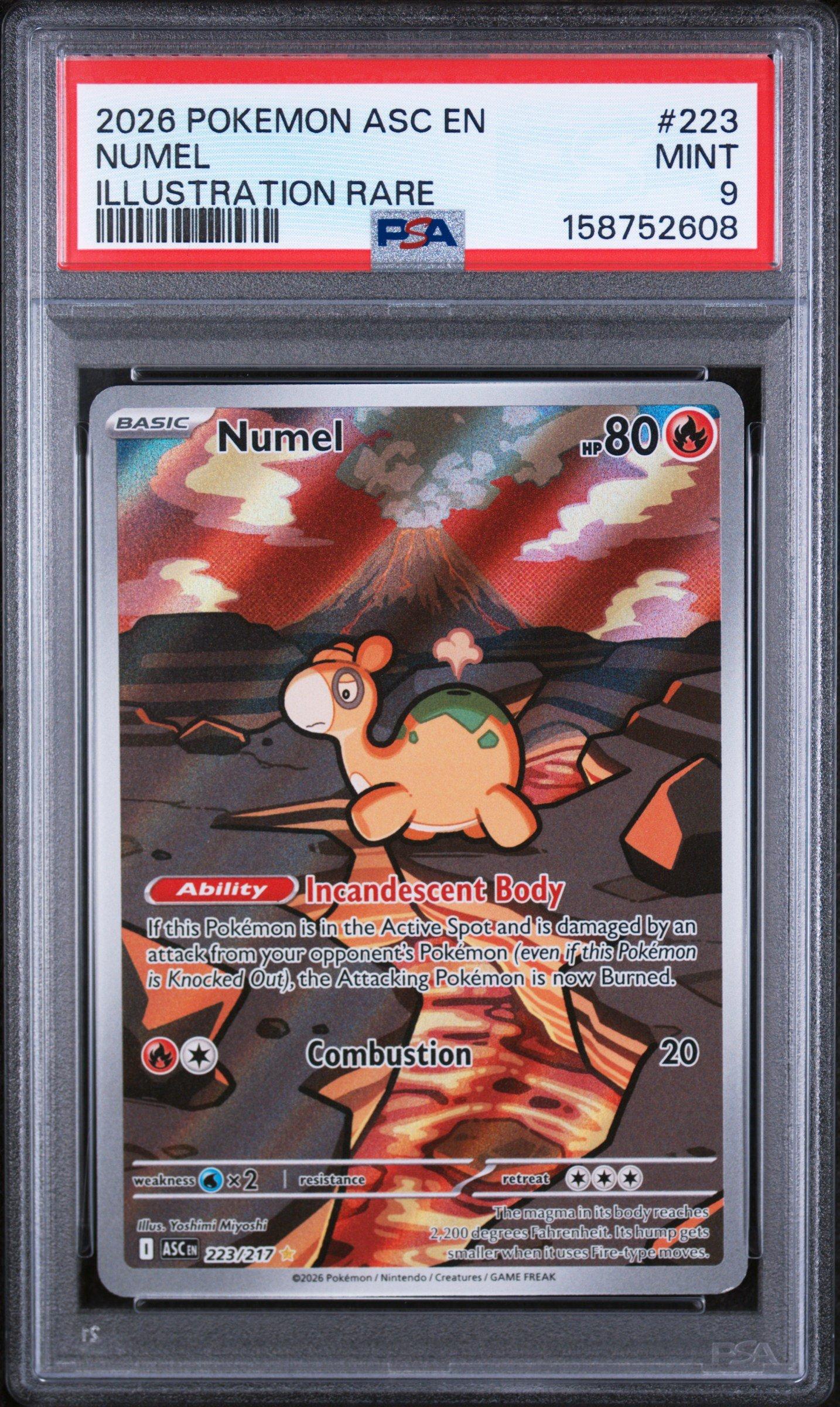 2026 Pokemon Asc En-ascended Heroes 223 Numel Illustration Rare