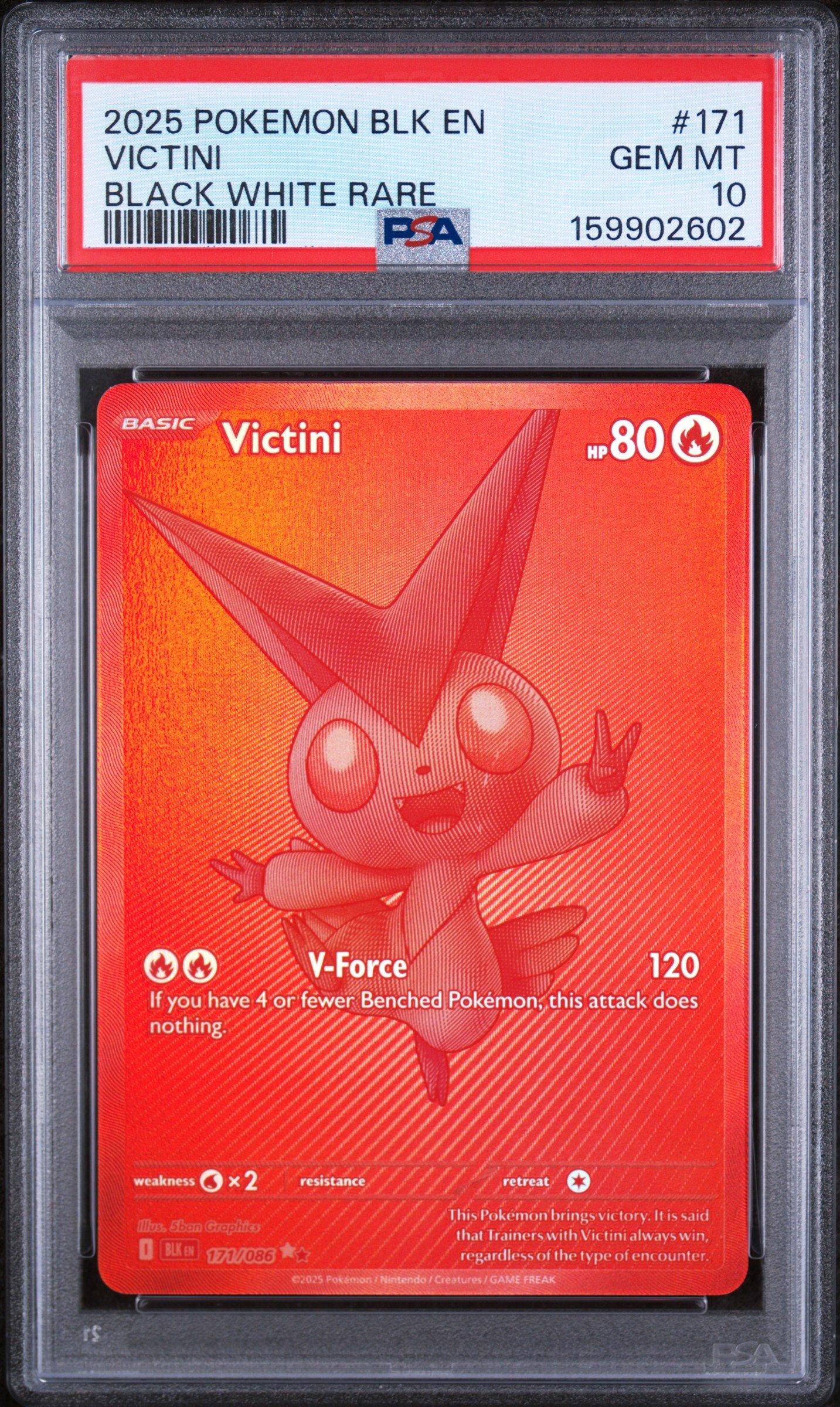 Victini Black White Rare 171 PSA 10 Pokemon graded card
