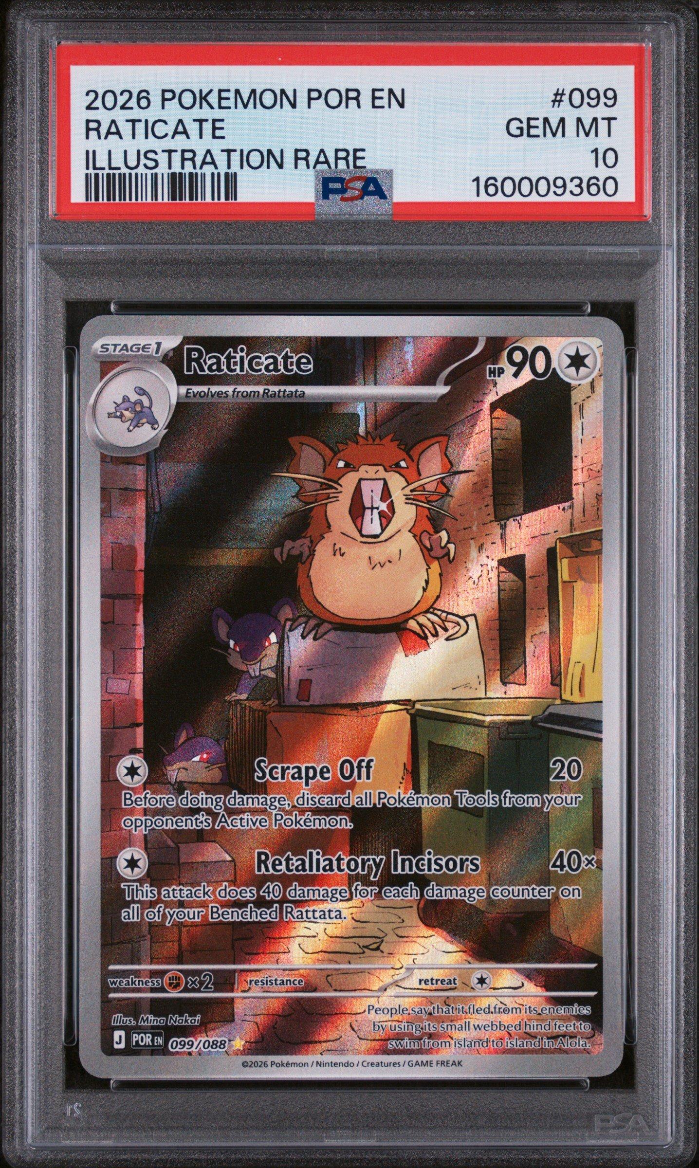 2026 Pokemon Por En-perfect Order 099 Raticate Illustration Rare