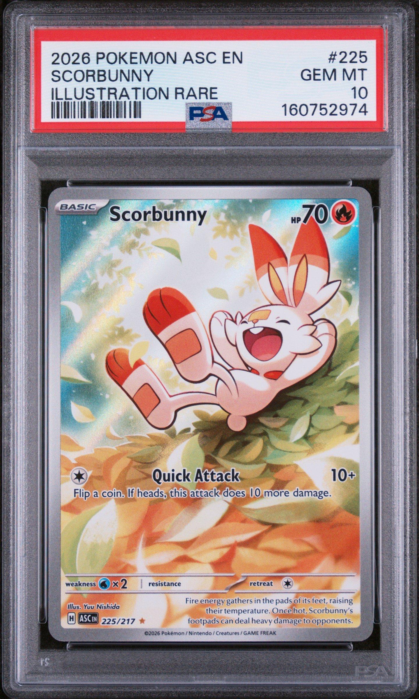pokemon cards scorbunny POKÉMON TCG Galar Collection Card Number / Rarity Pokémon TCG: Galar Collection (Scorbunny/Zacian)