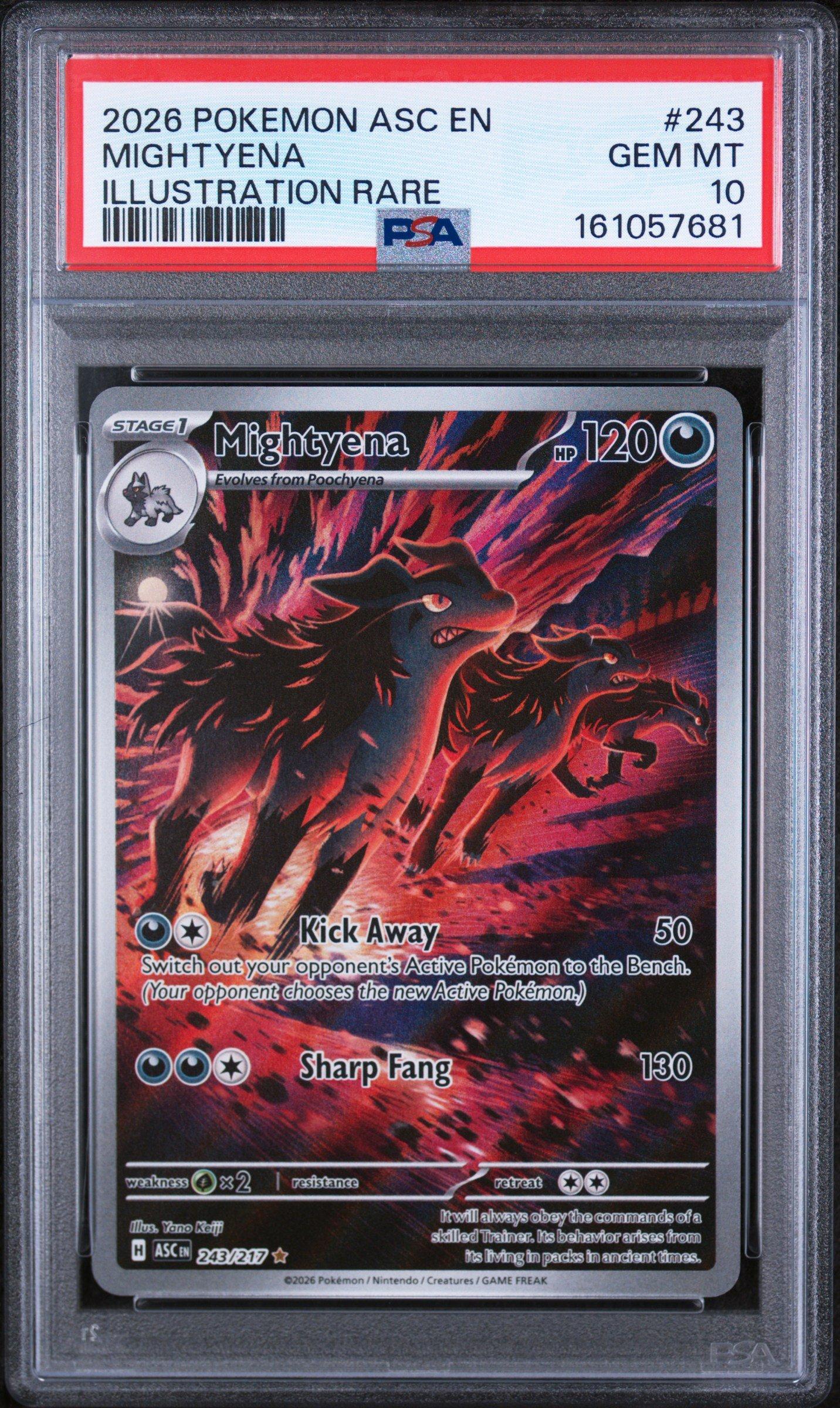 2026 Pokemon Asc En-ascended Heroes 243 Mightyena Illustration