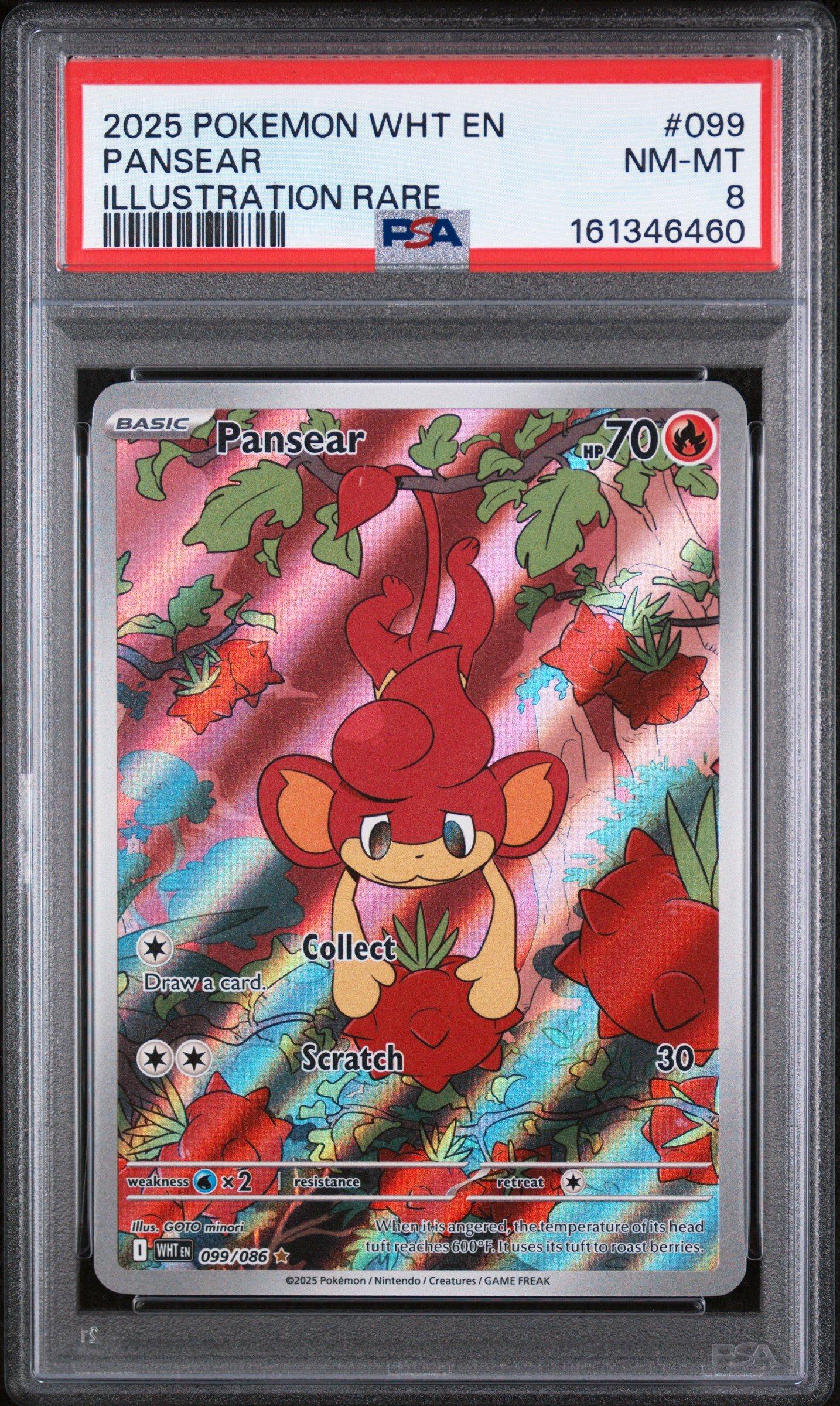 2025 Pokemon Wht En-white Flare 099 Pansear Illustration Rare PSA
