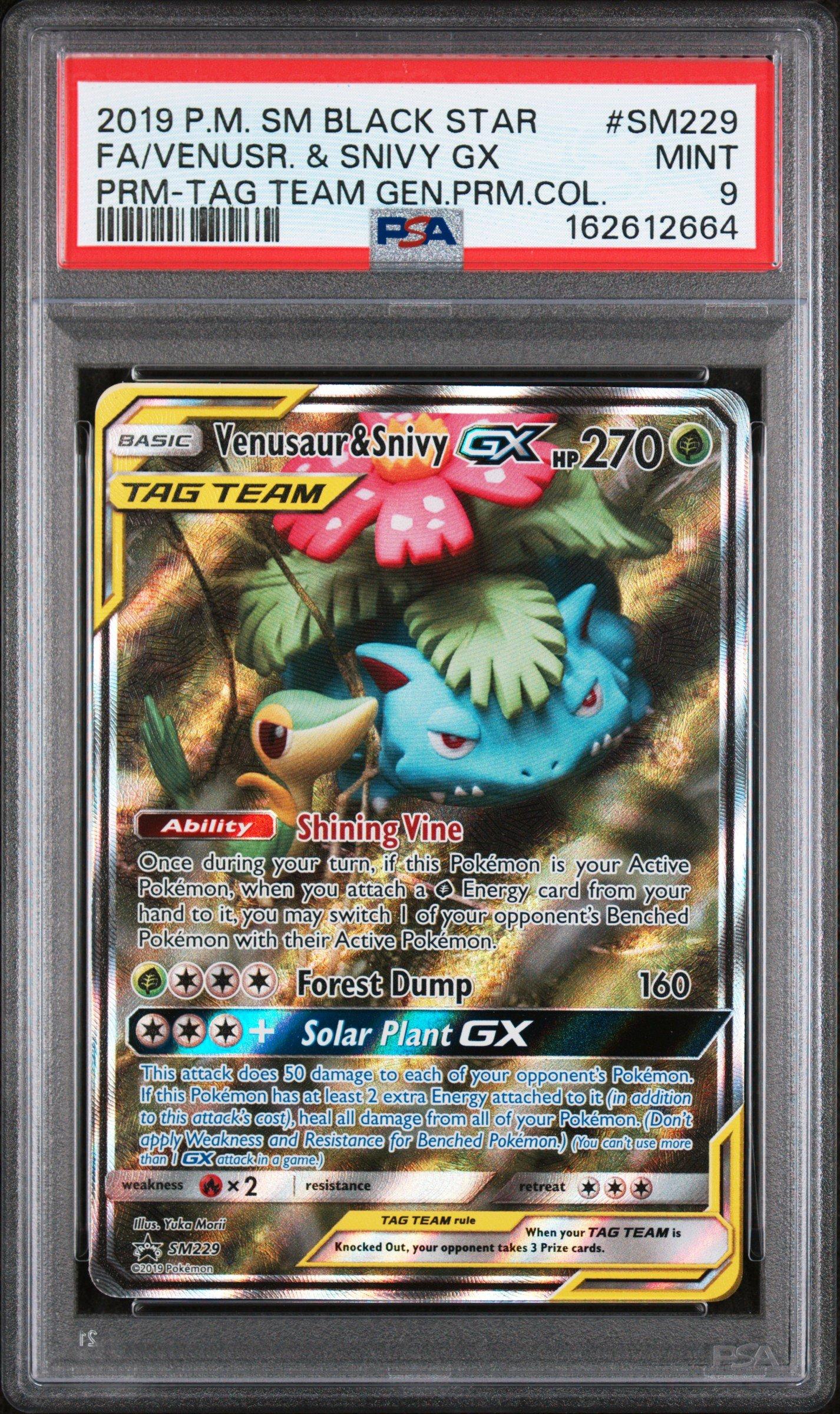 2019 Pokemon Sm Black Star Promo Sm229 Full Art/venusaur & Snivy